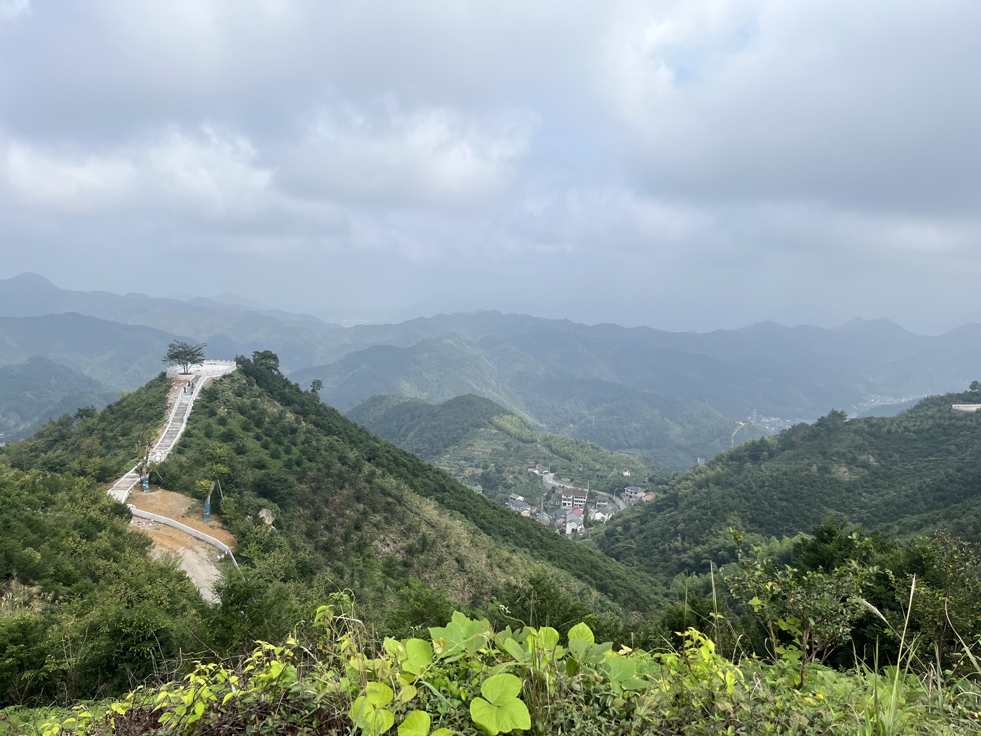 红豆仙霞景区