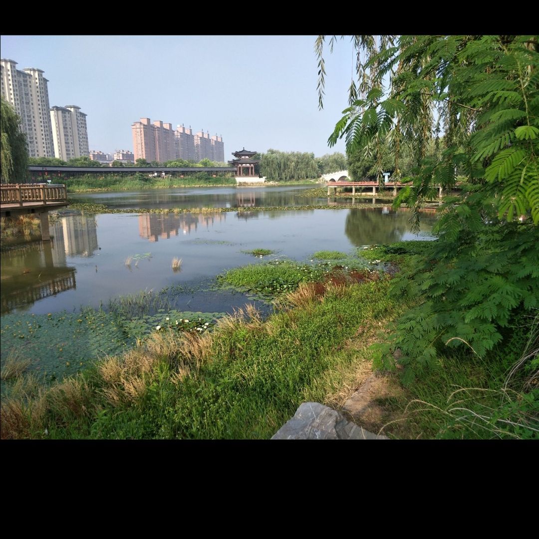 清水湾公园