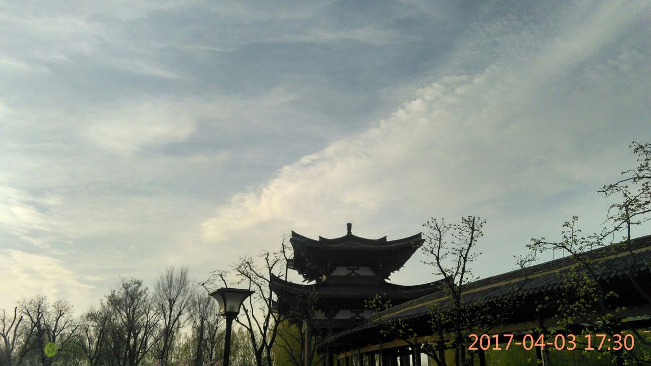 清水湾公园旅行图片
