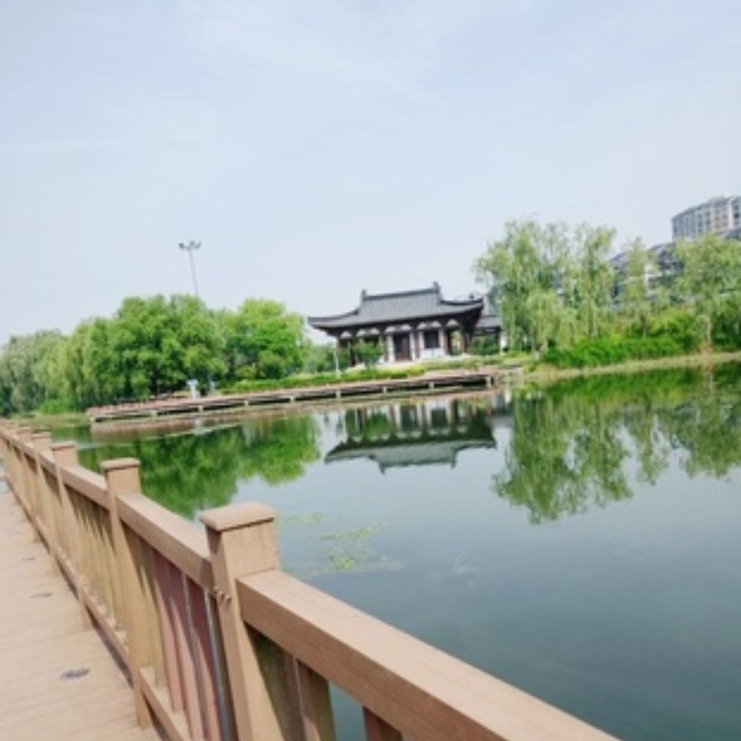 清水湾公园旅行图片