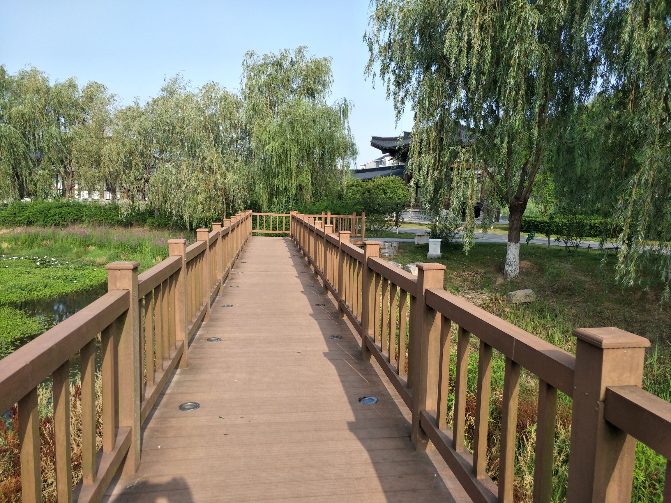 清水湾公园旅行图片
