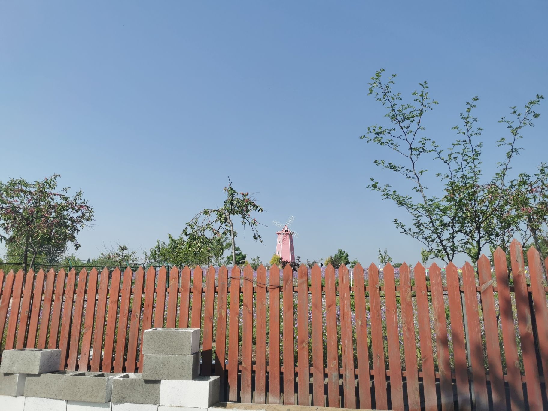 迁安亚滦湾农业公园旅行图片