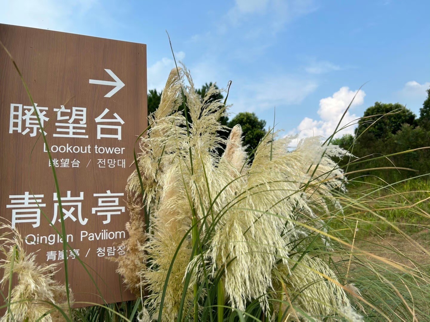青岚湖森林公园