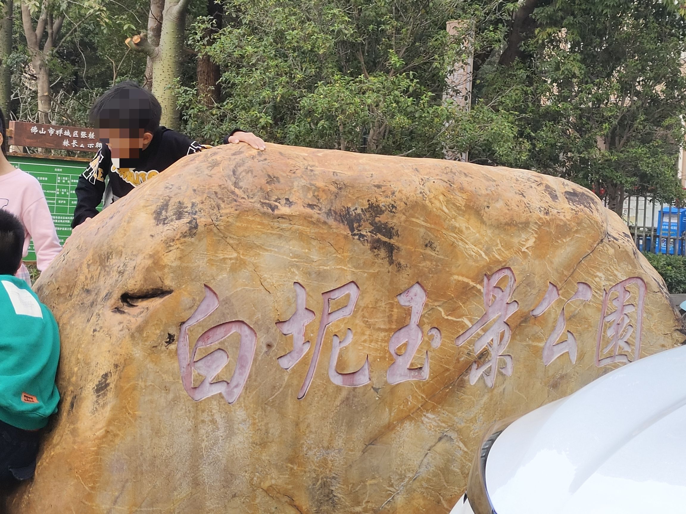 白坭玉景公园旅行图片