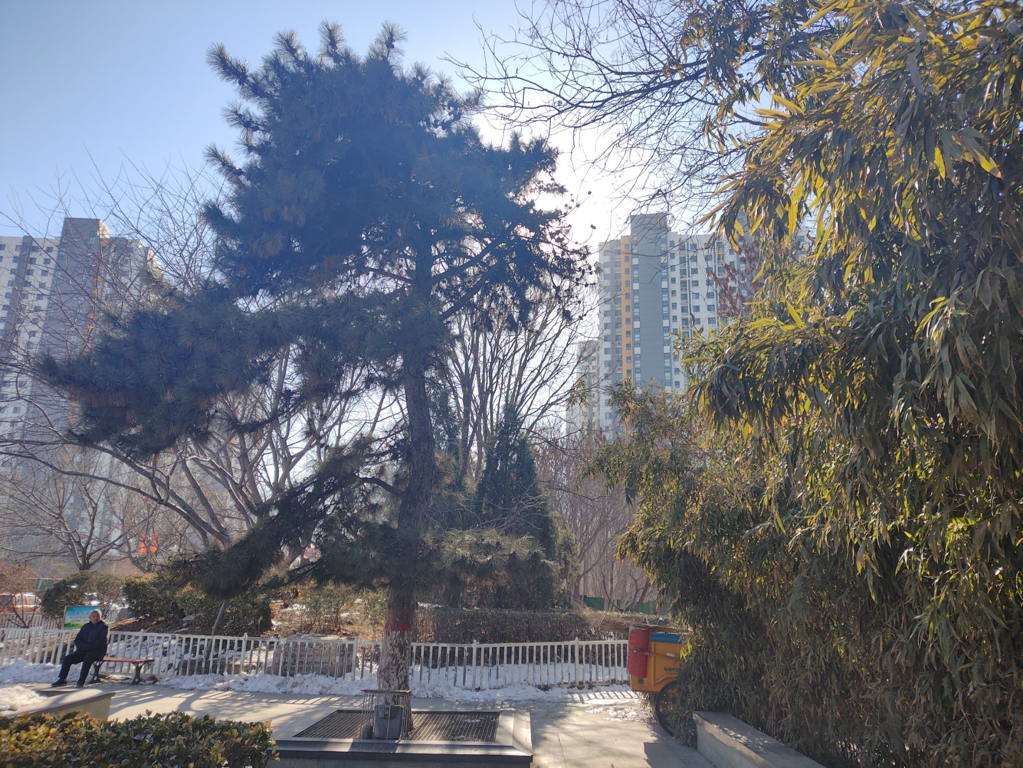 保定市府河公园