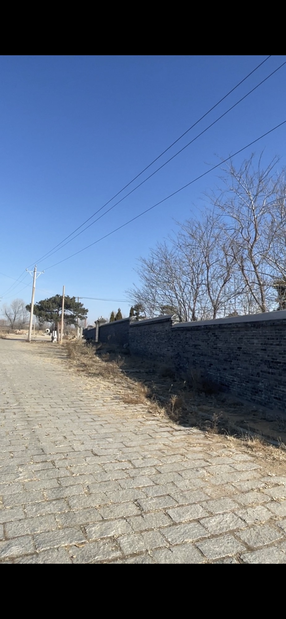 张作霖墓园