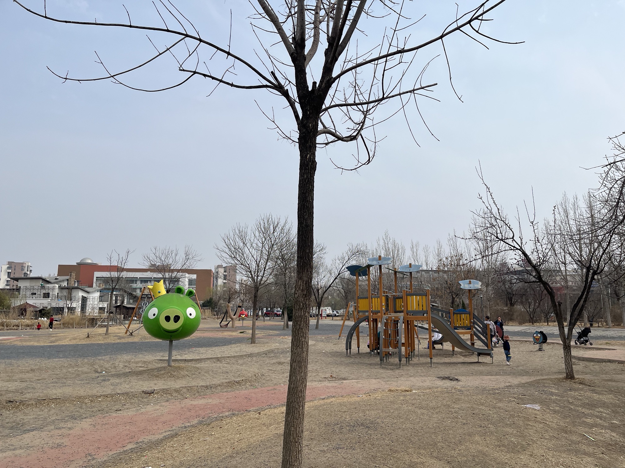 东丽湖