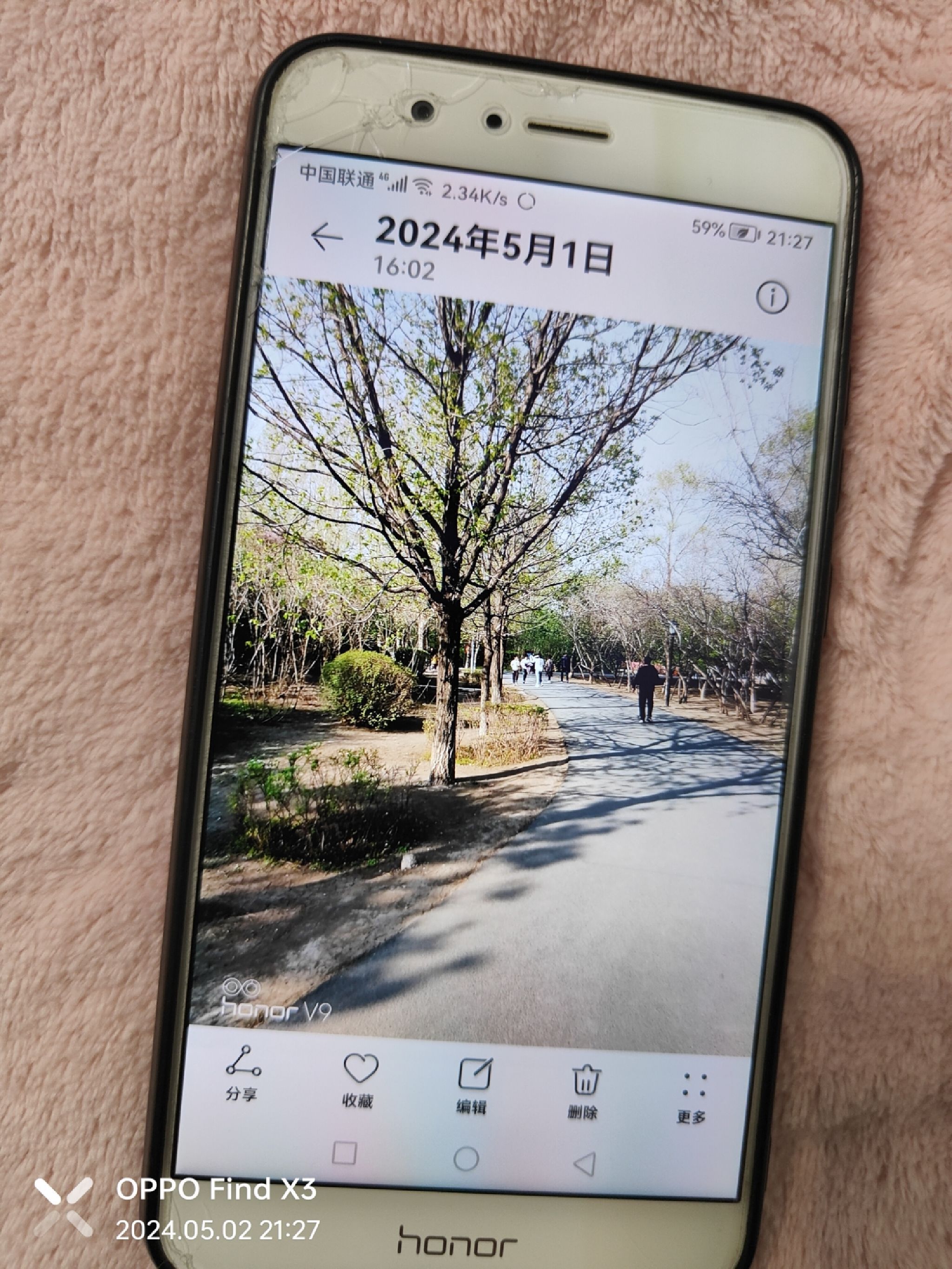 德惠市文化公园旅行图片