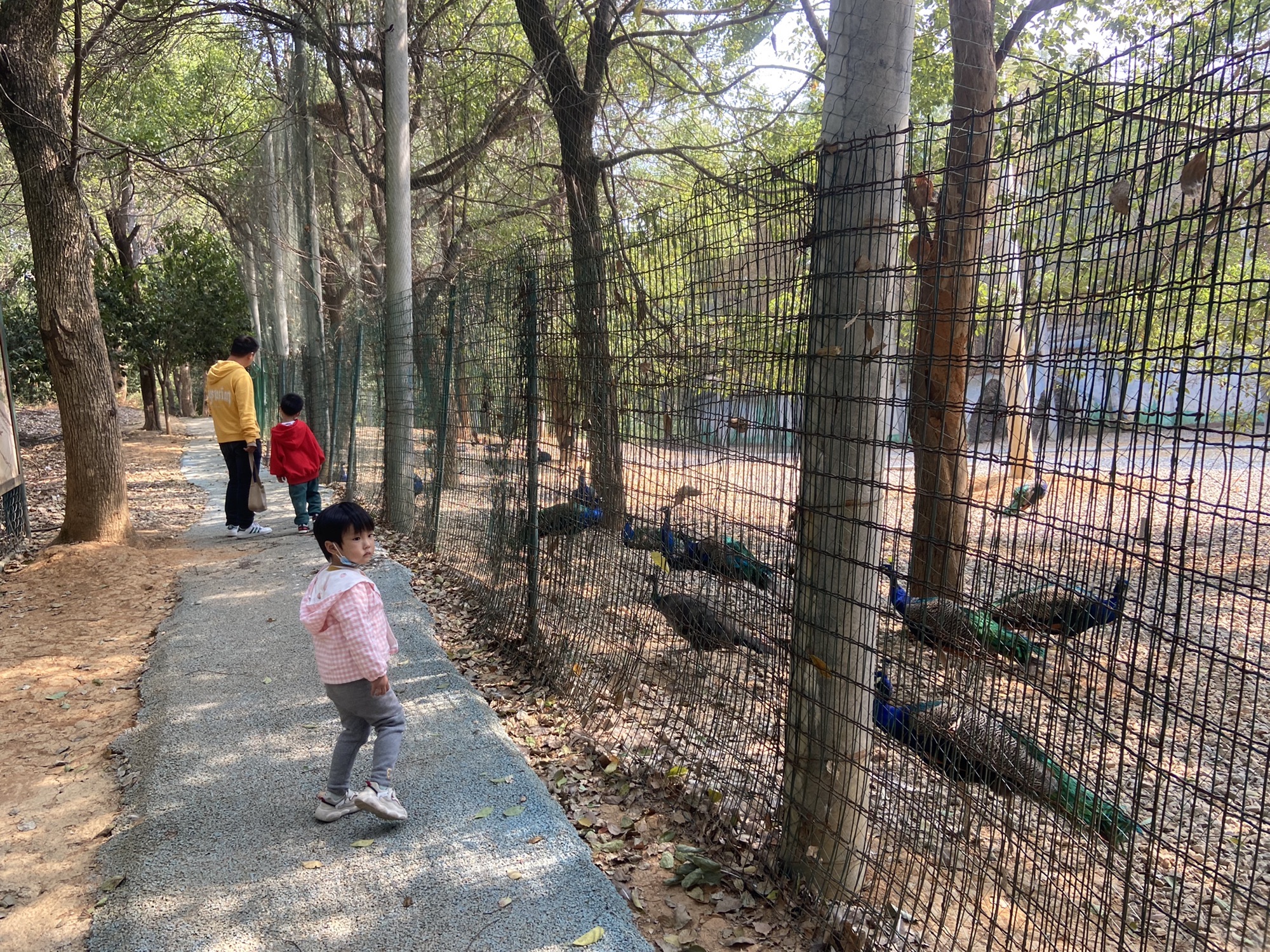 博盛生态体验园旅行图片
