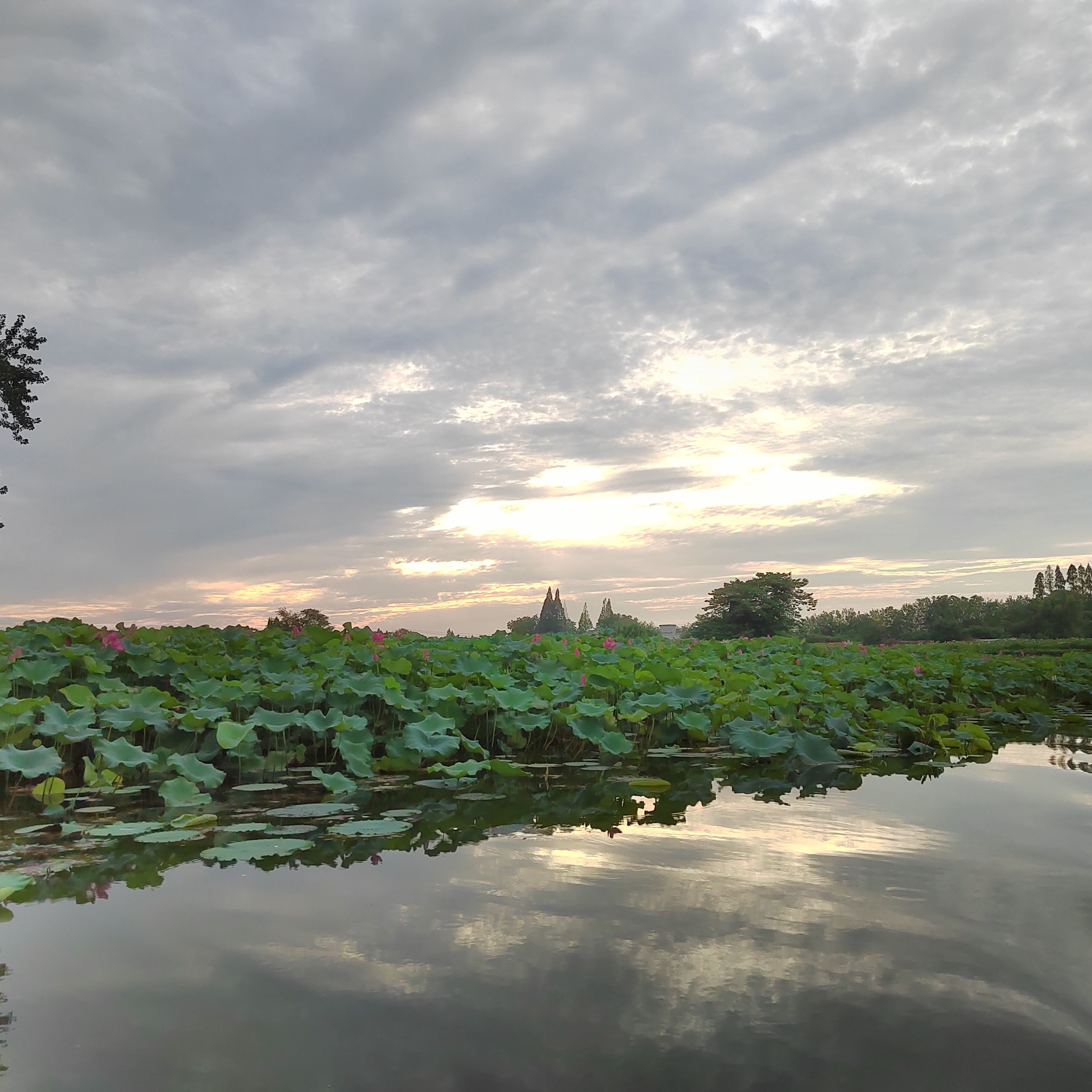 陶辛水韵景区