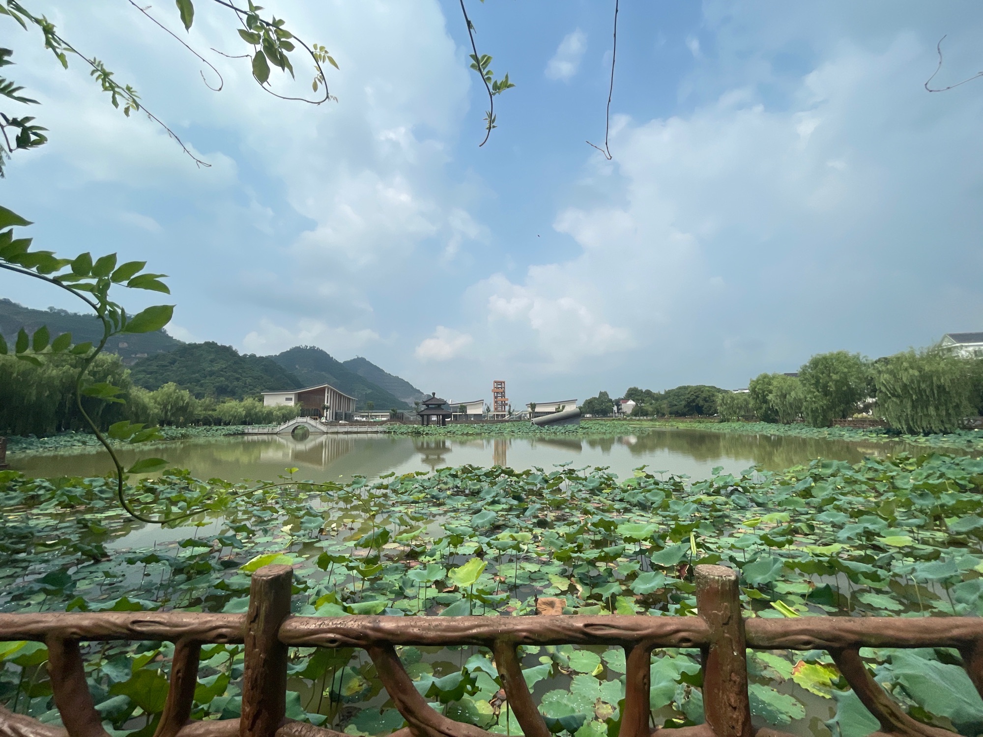 里叶十里荷花旅行图片