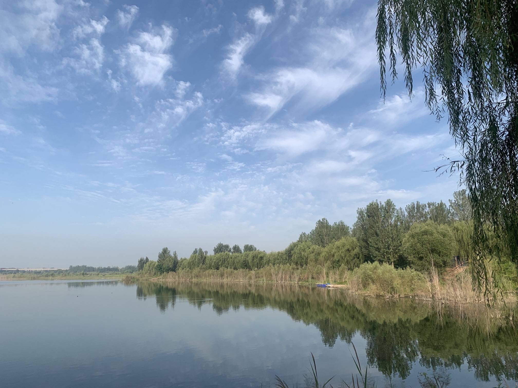 襄湖岛湿地公园旅行图片