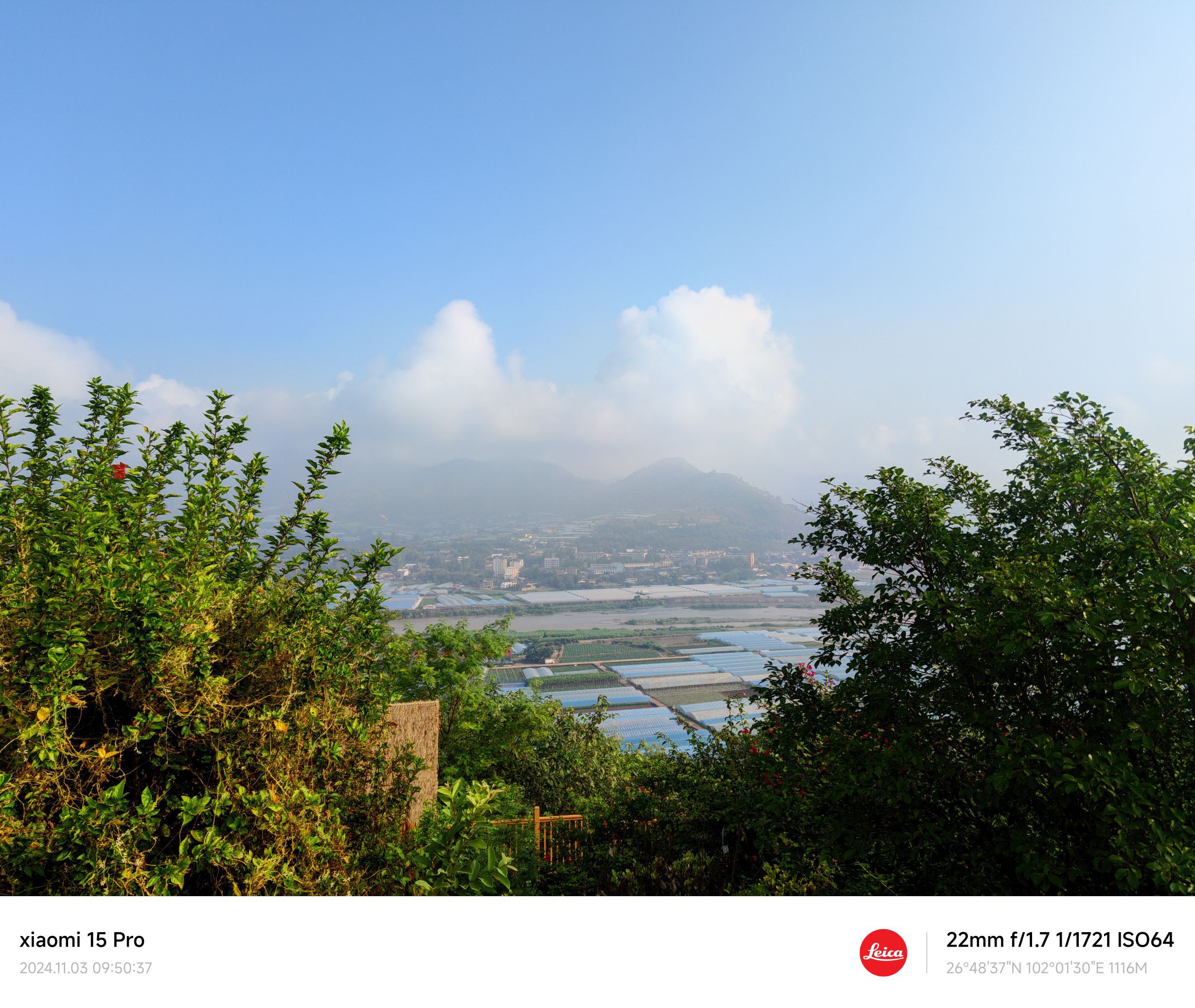 青松林农业公园旅行图片