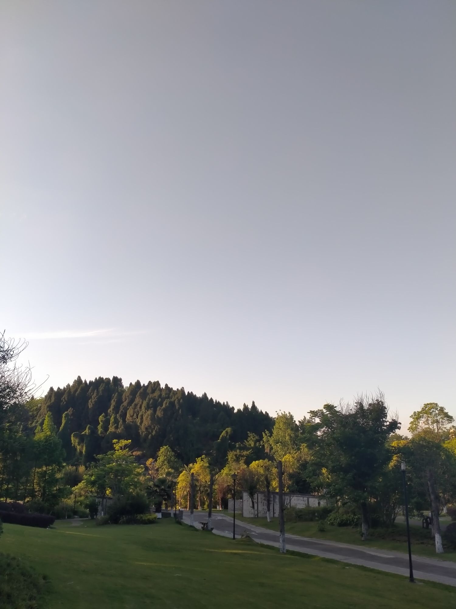 芭茅垭湿地公园