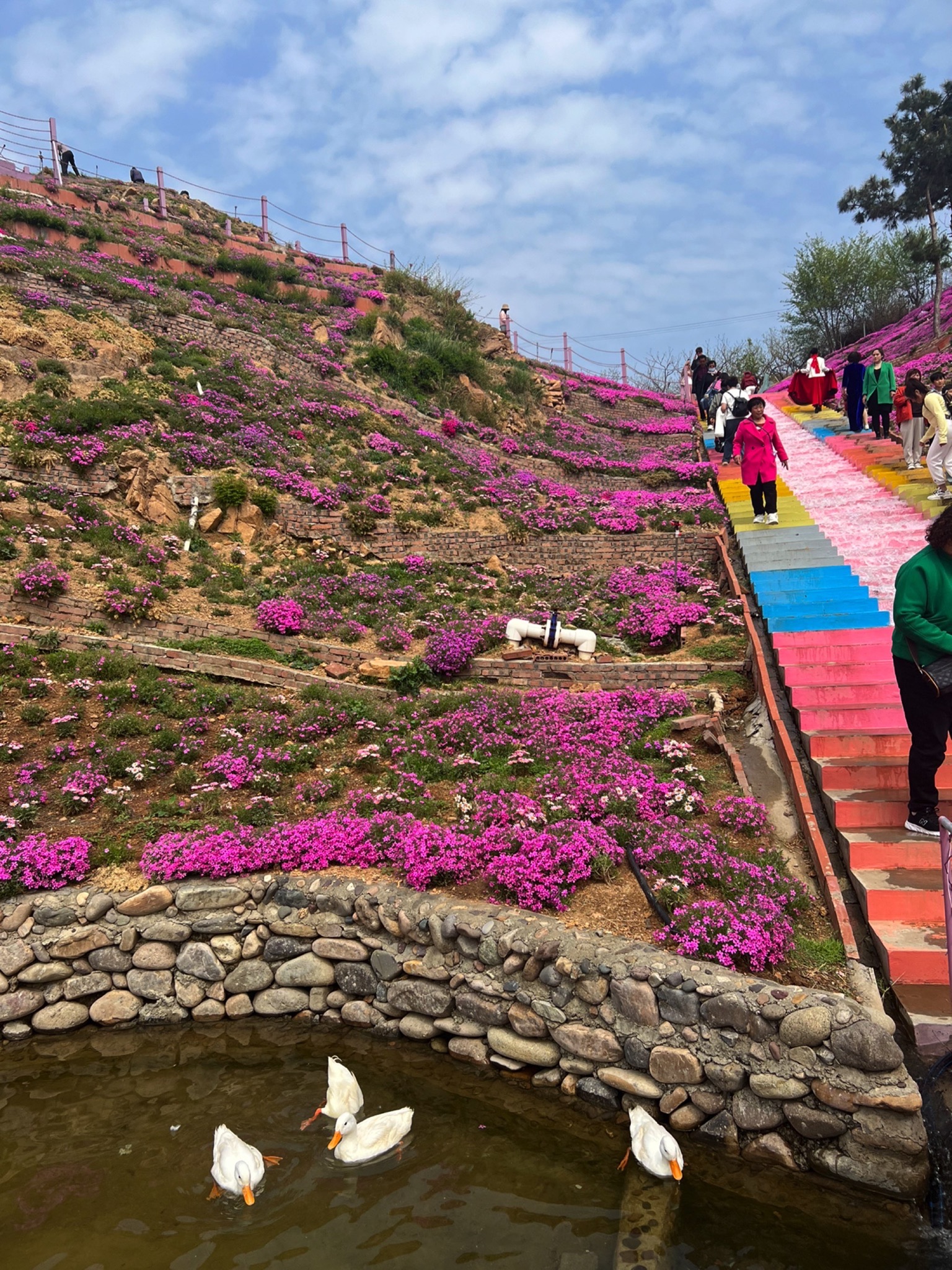 雨花谷薰衣草庄园旅行图片