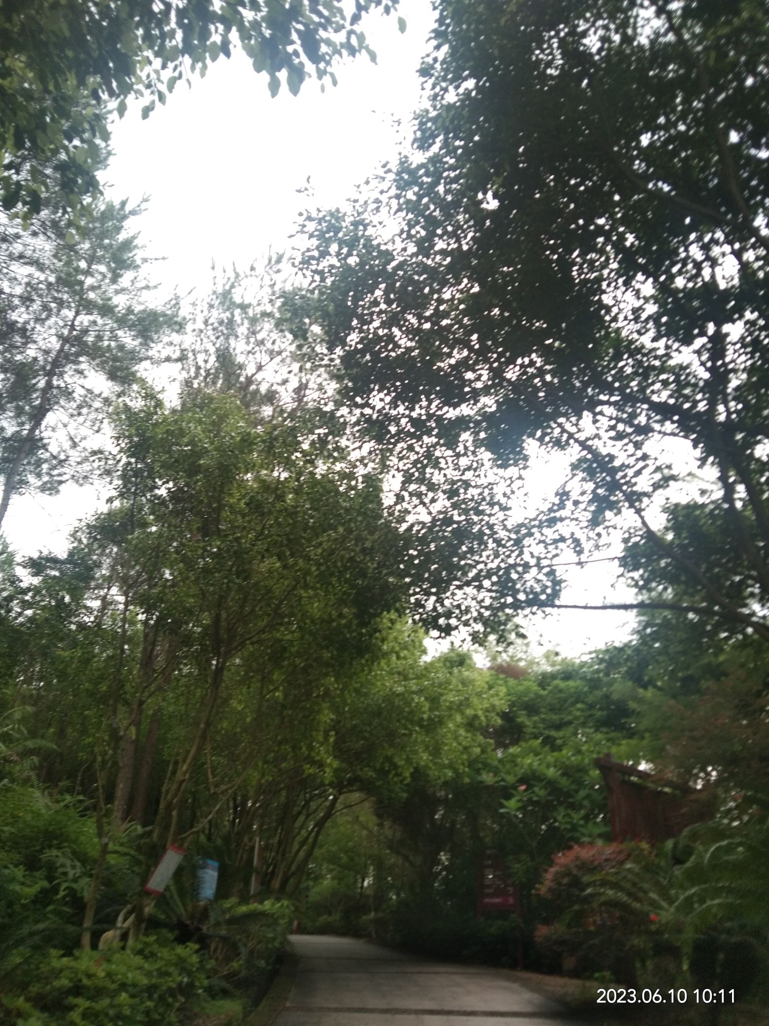 玉林市狮子山公园