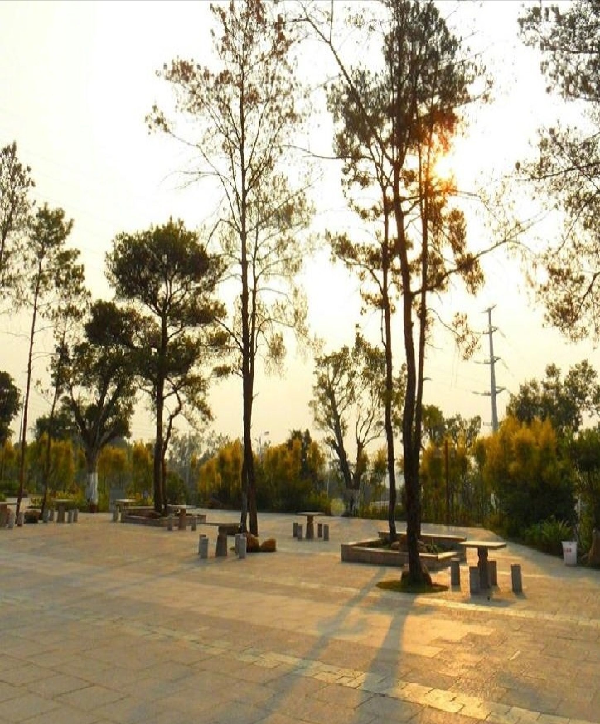 玉林市狮子山公园旅行图片