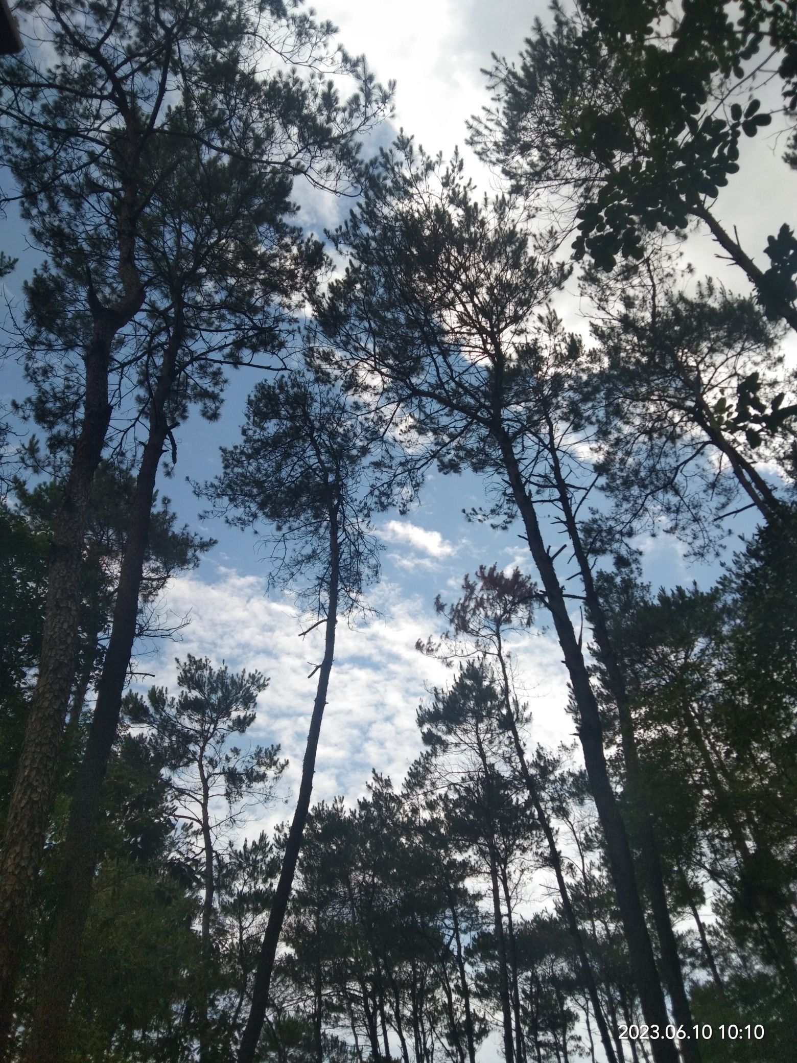 玉林市狮子山公园旅行图片