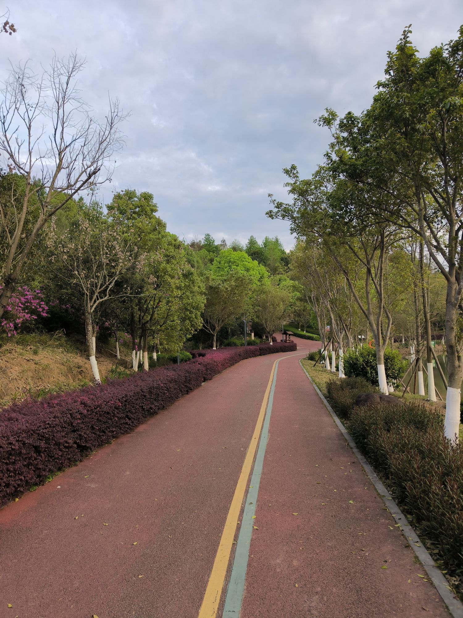 如意湖湿地公园