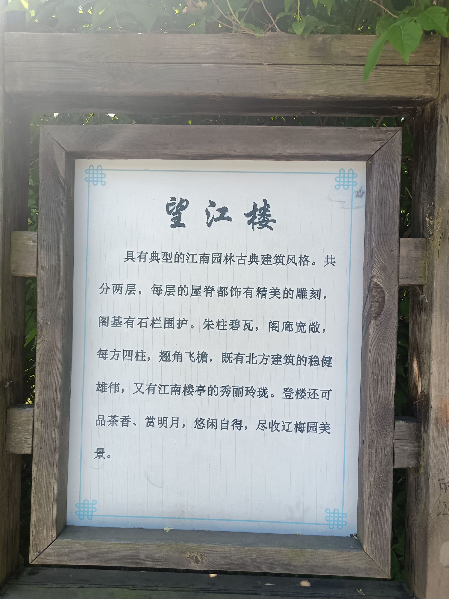 东陵-郊野公园旅行图片