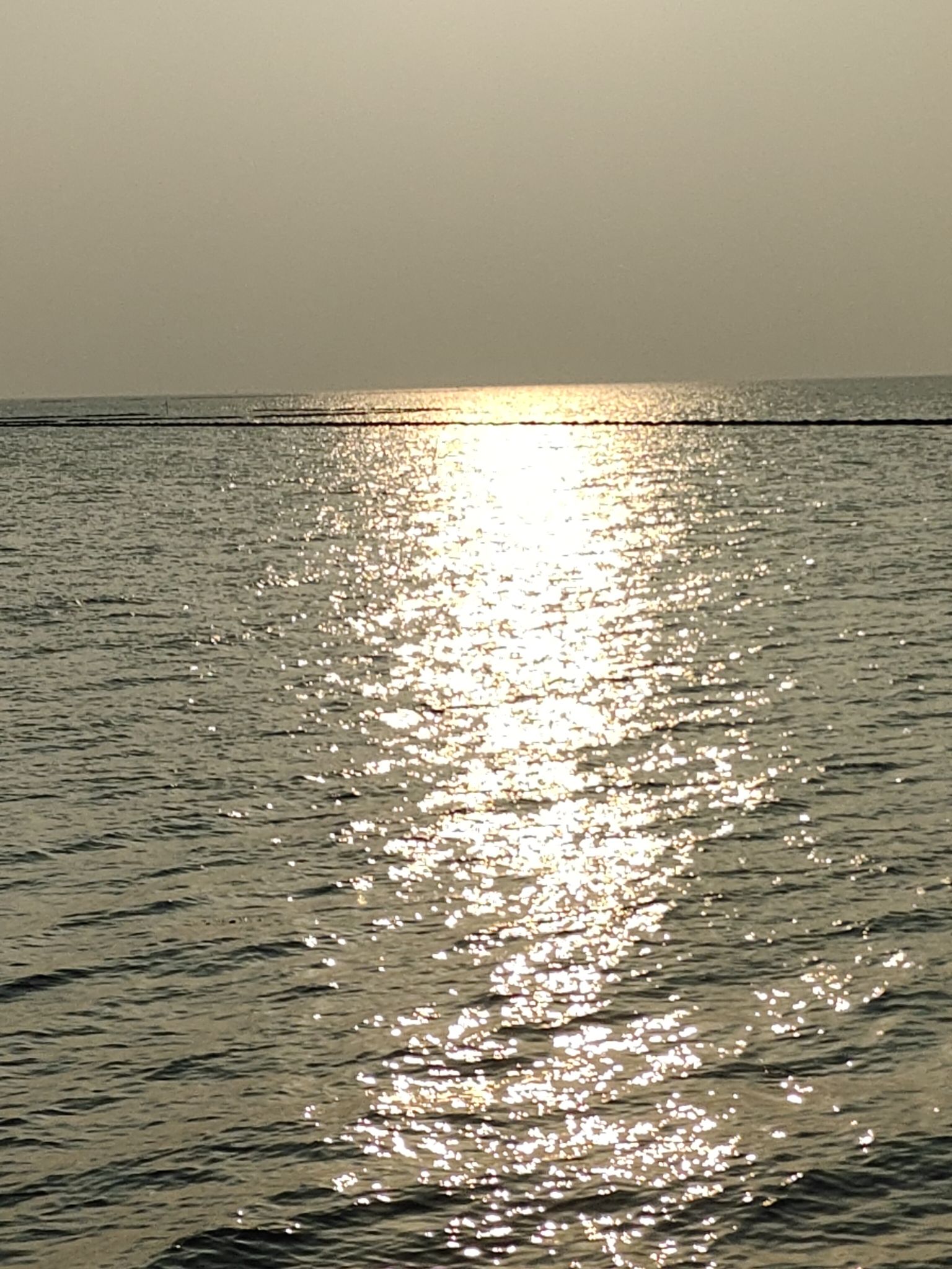 七都湿地公园
