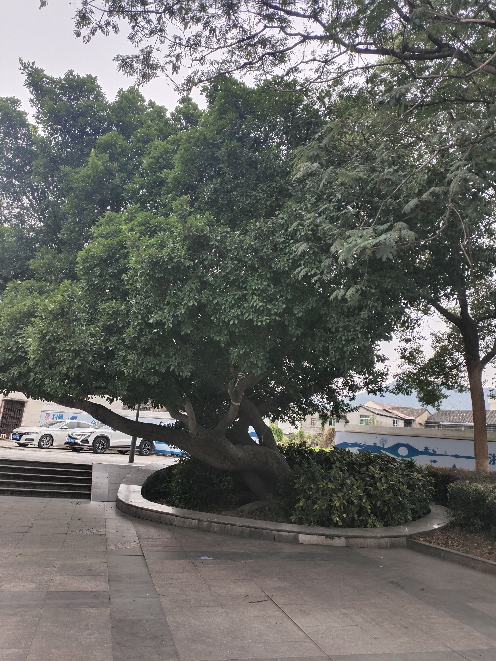温东公园