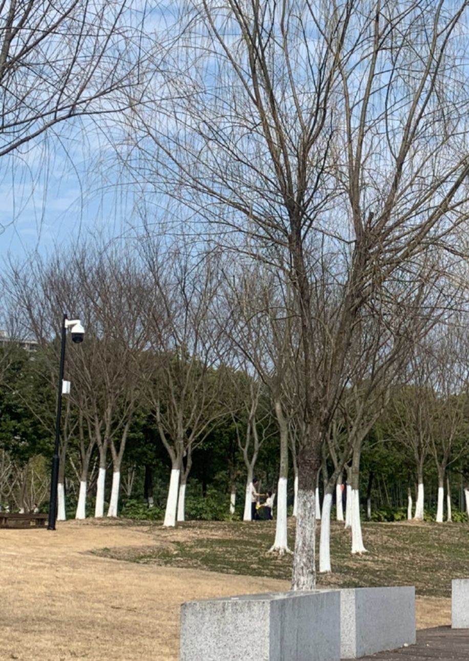 迎宾公园