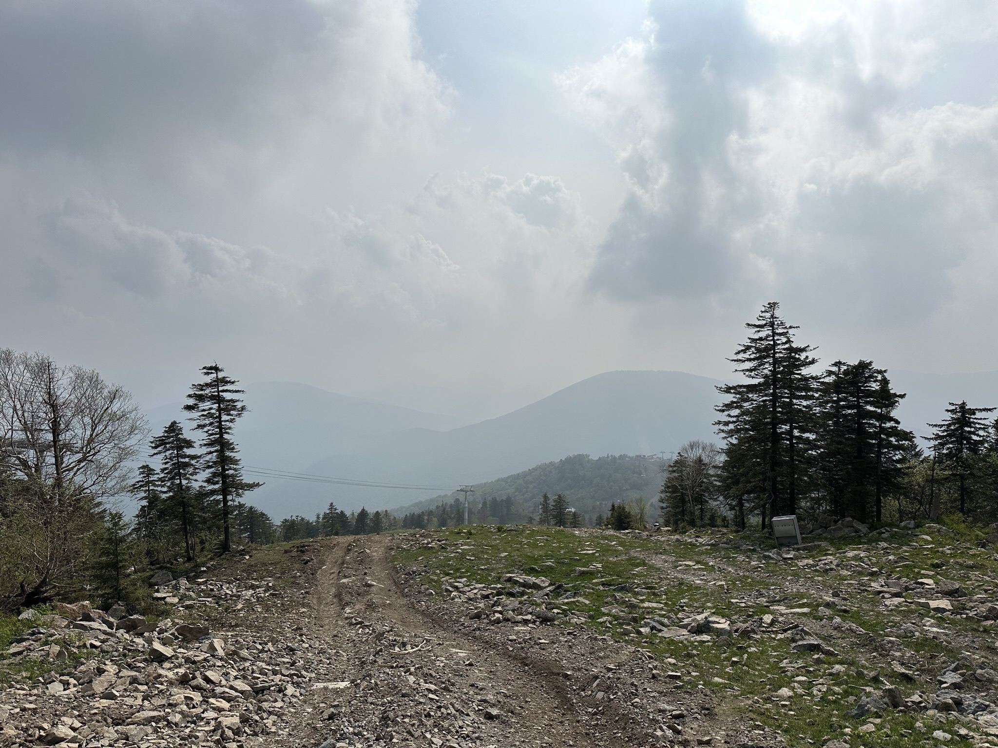 南楼山(暂停开放)旅行图片