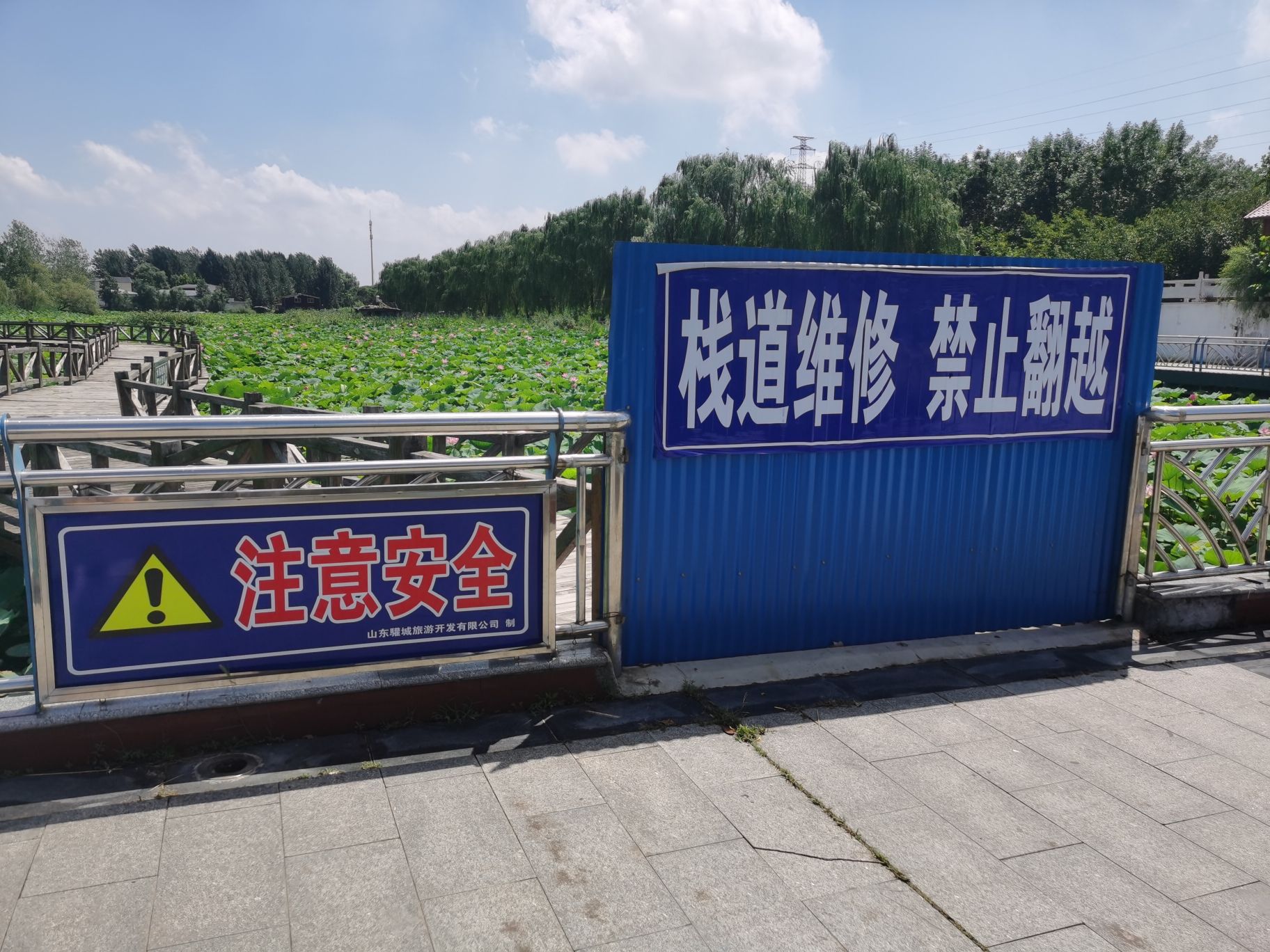 微山湖二级坝湿地景区