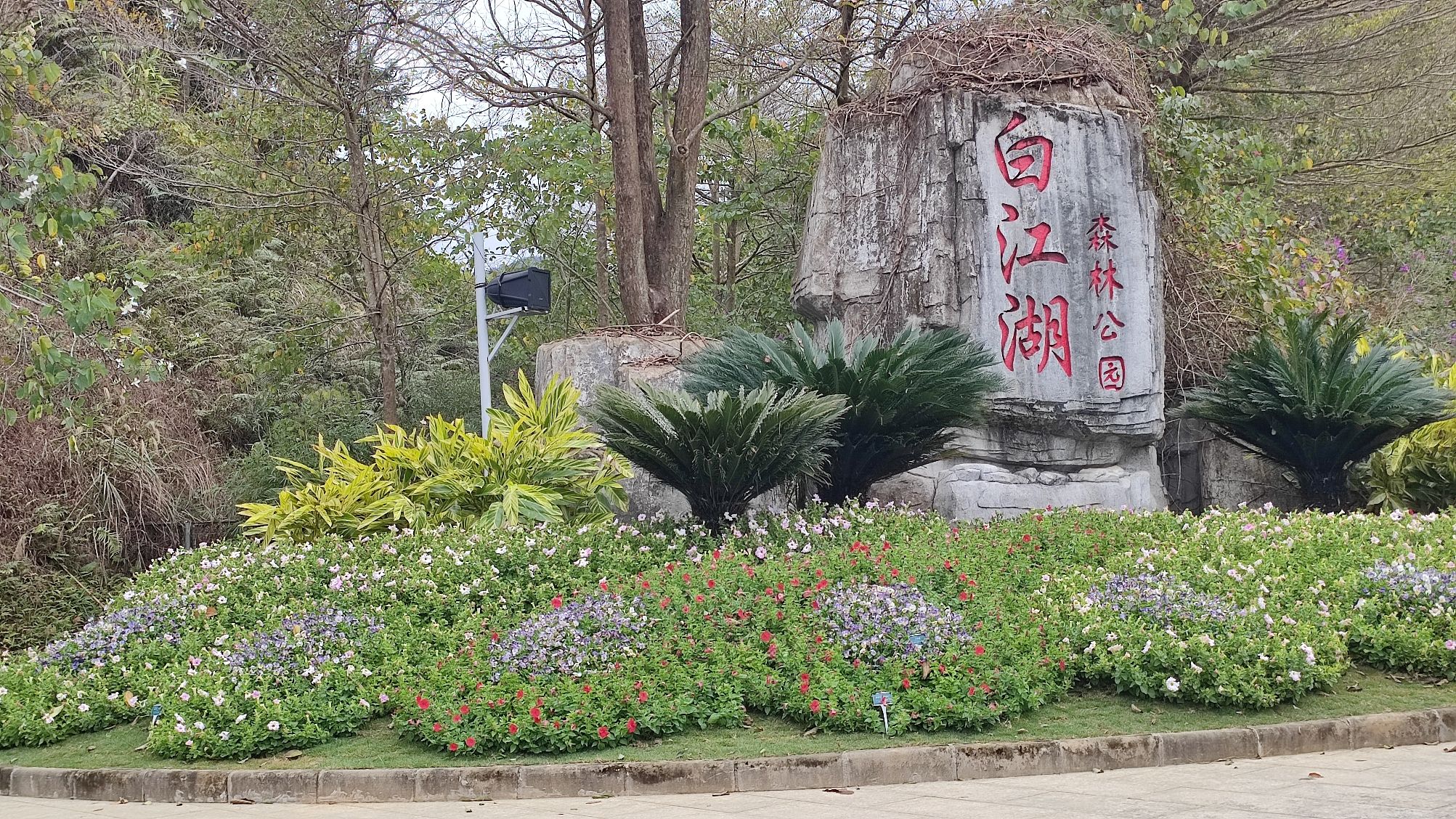 白江湖森林公园