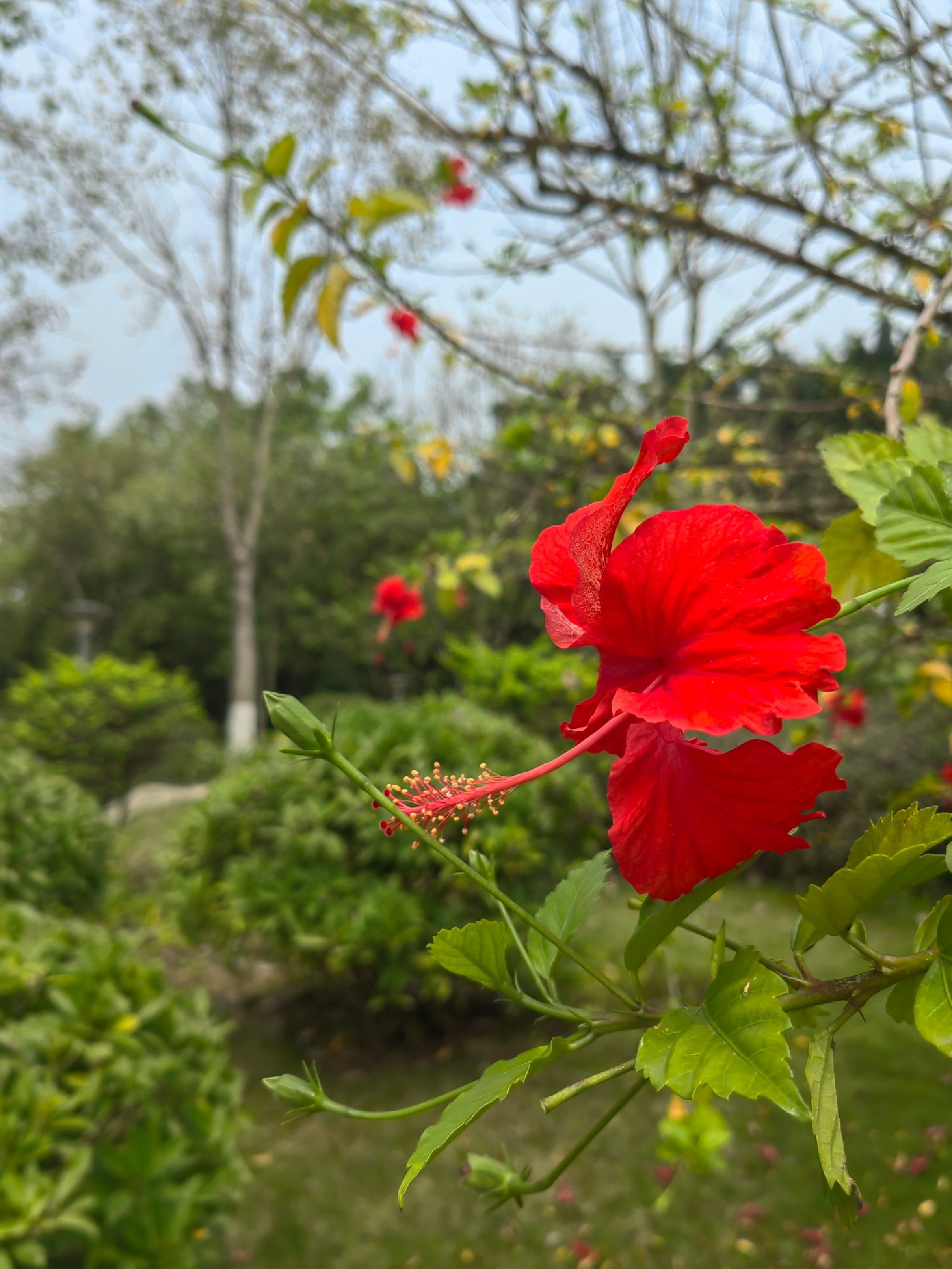 北江体育休闲公园旅行图片