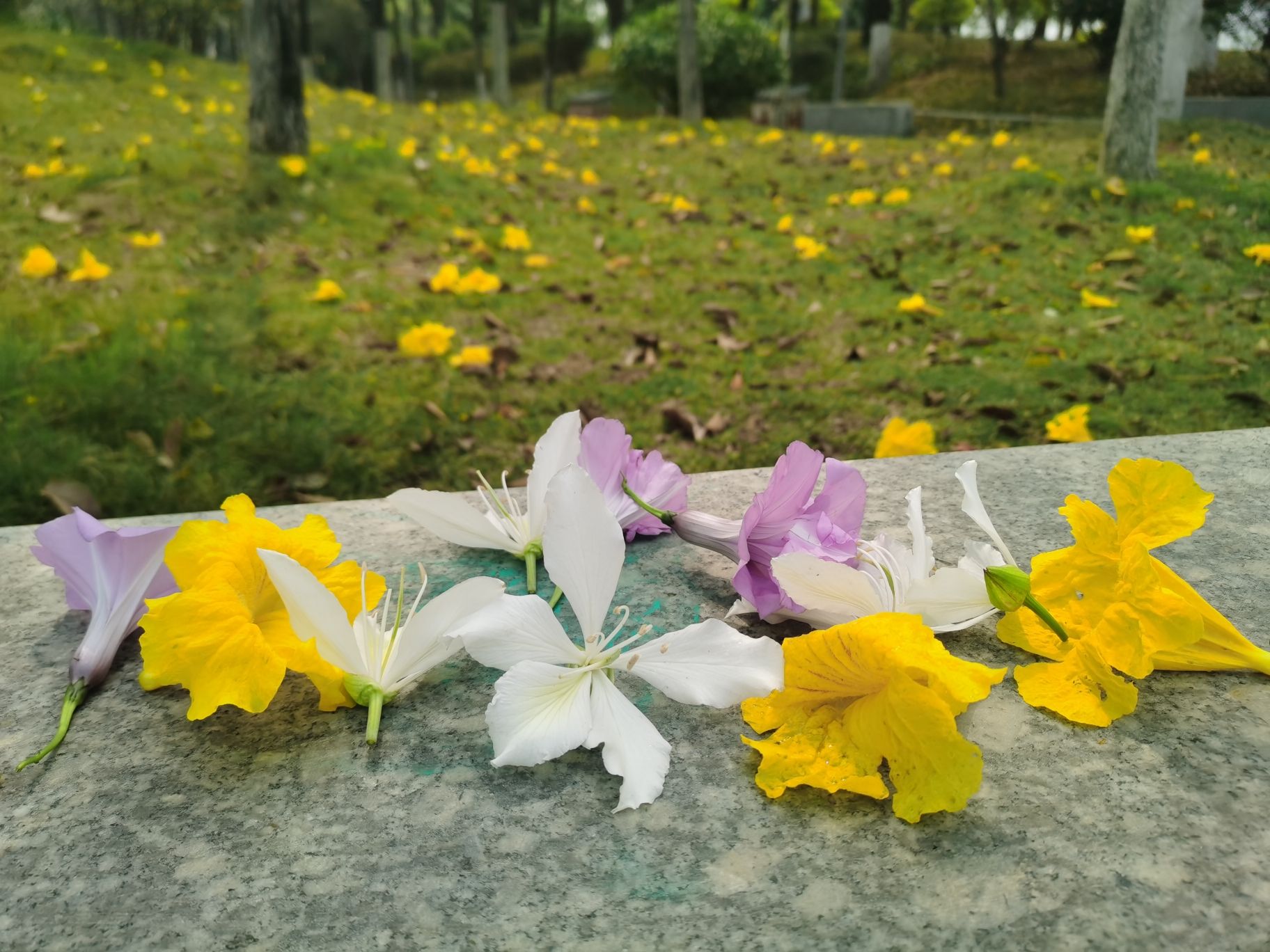 北江体育休闲公园旅行图片