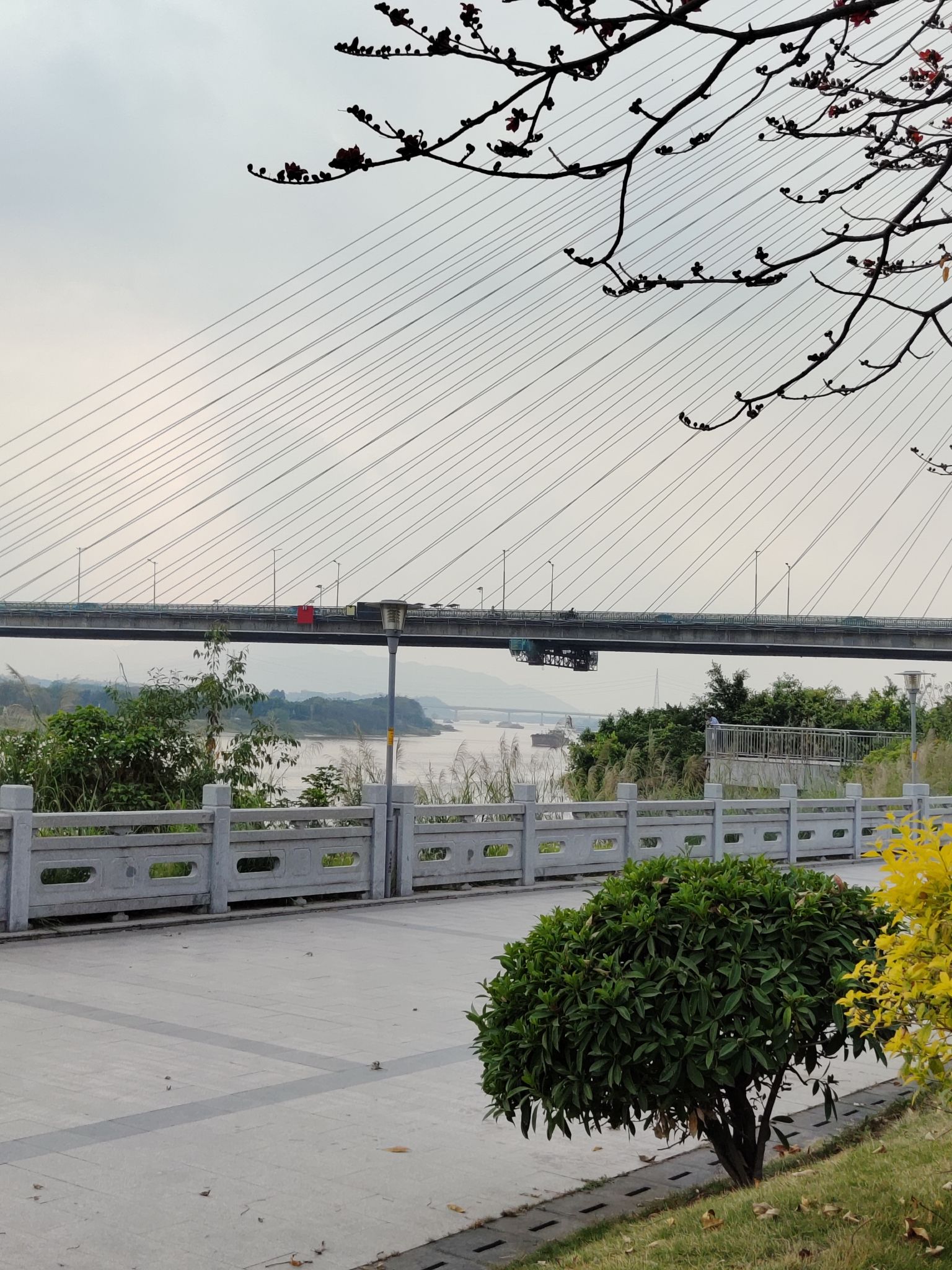 北江体育休闲公园旅行图片