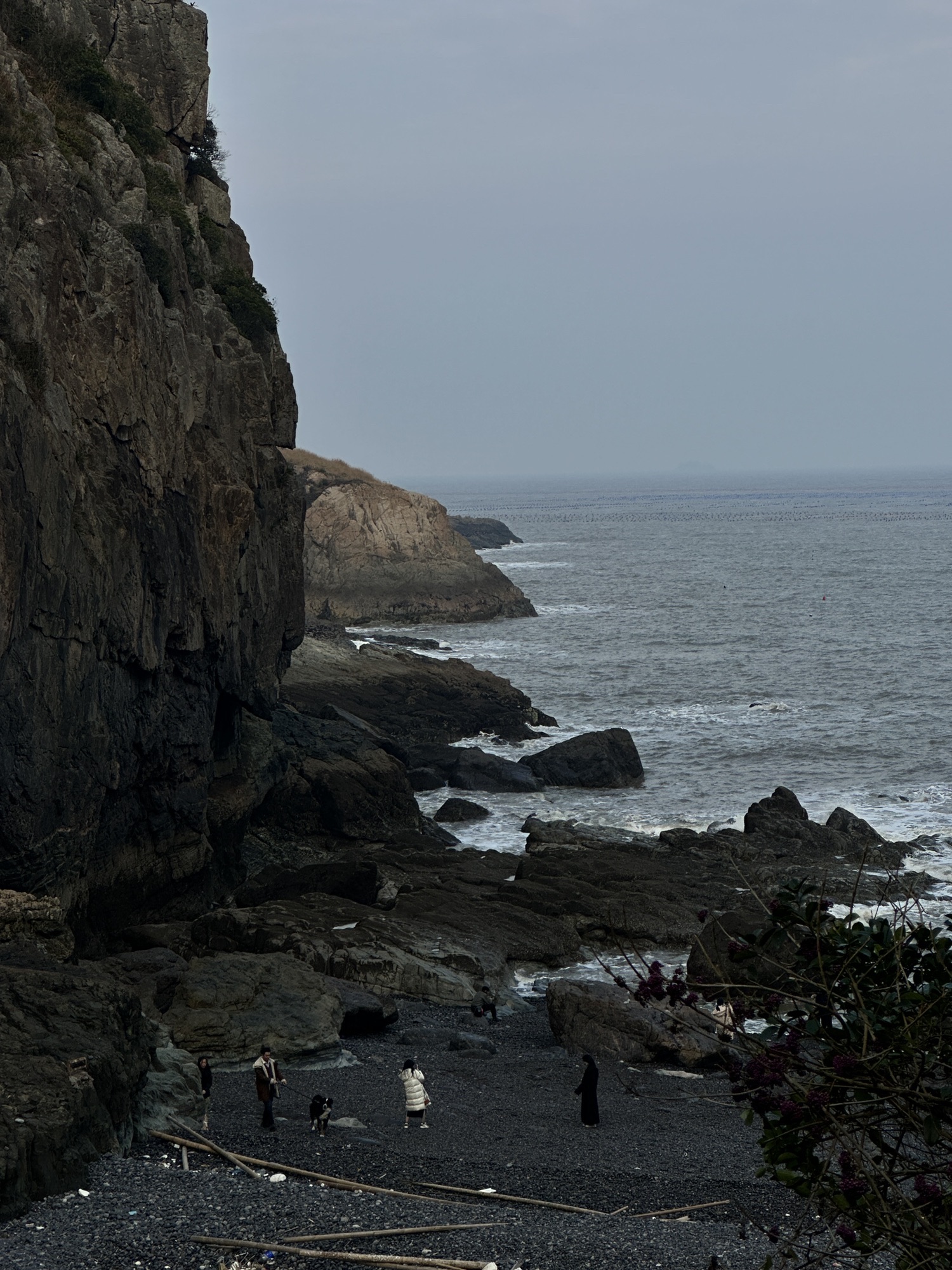 棕榈湾风景区