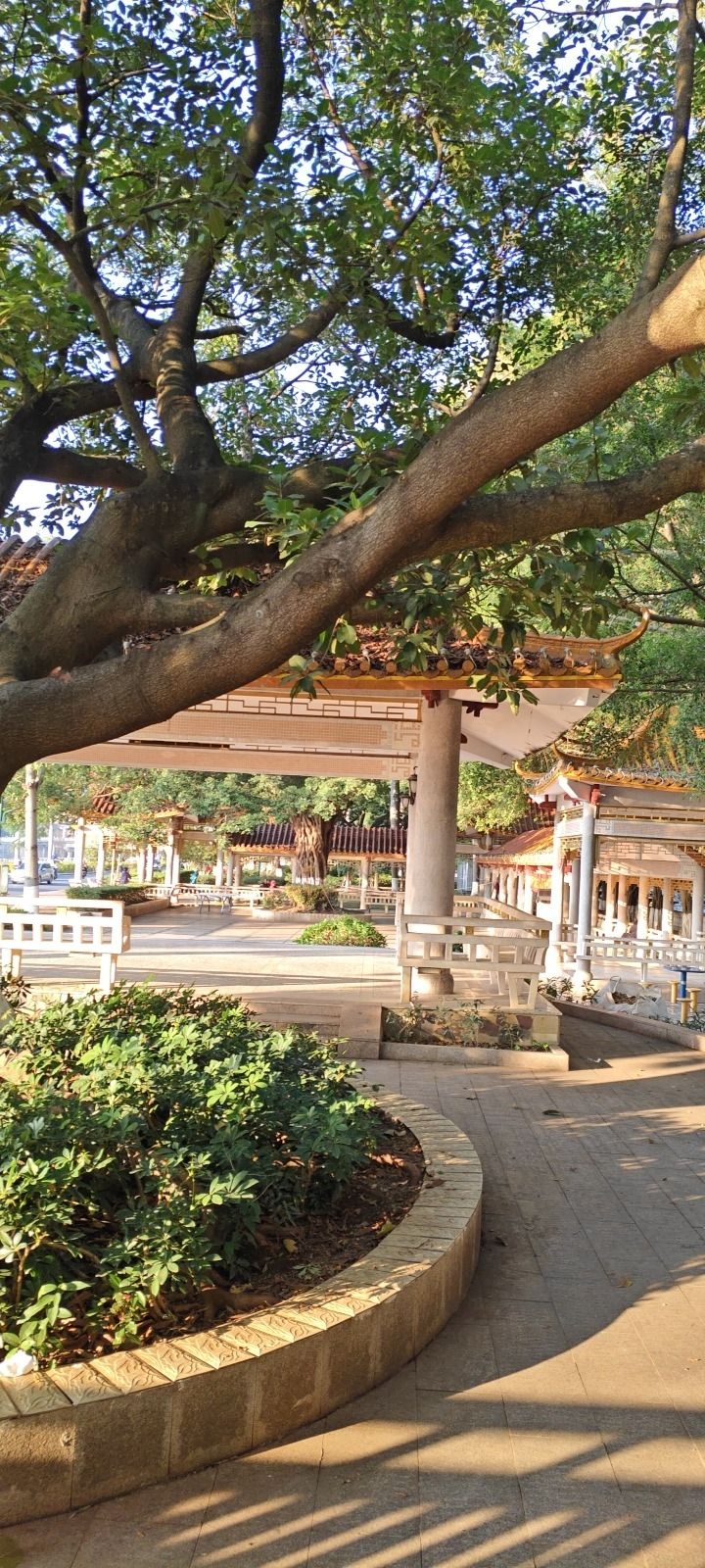 滨江社区体育公园旅行图片