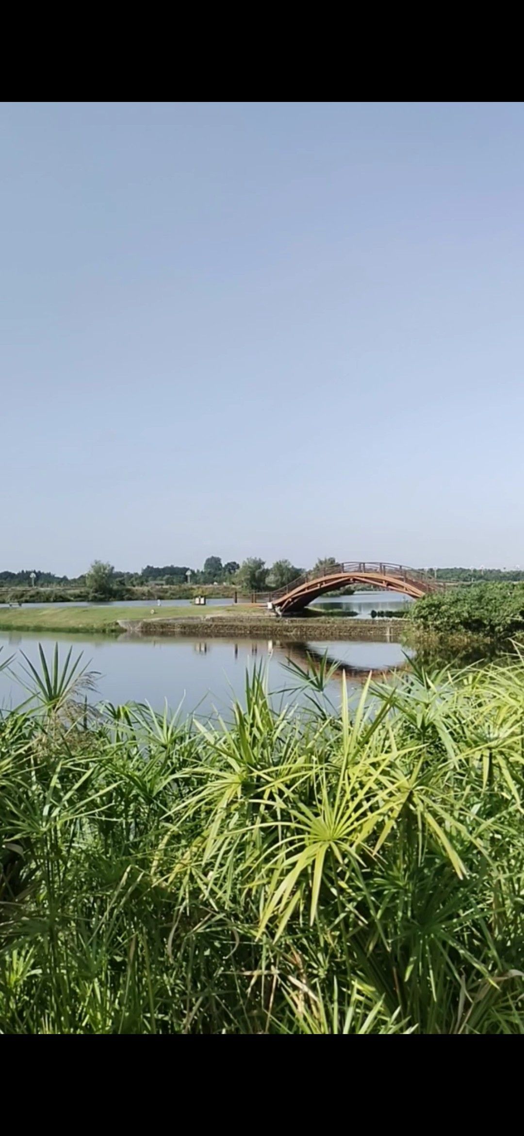 寿乡水岸·五湖四海旅行图片