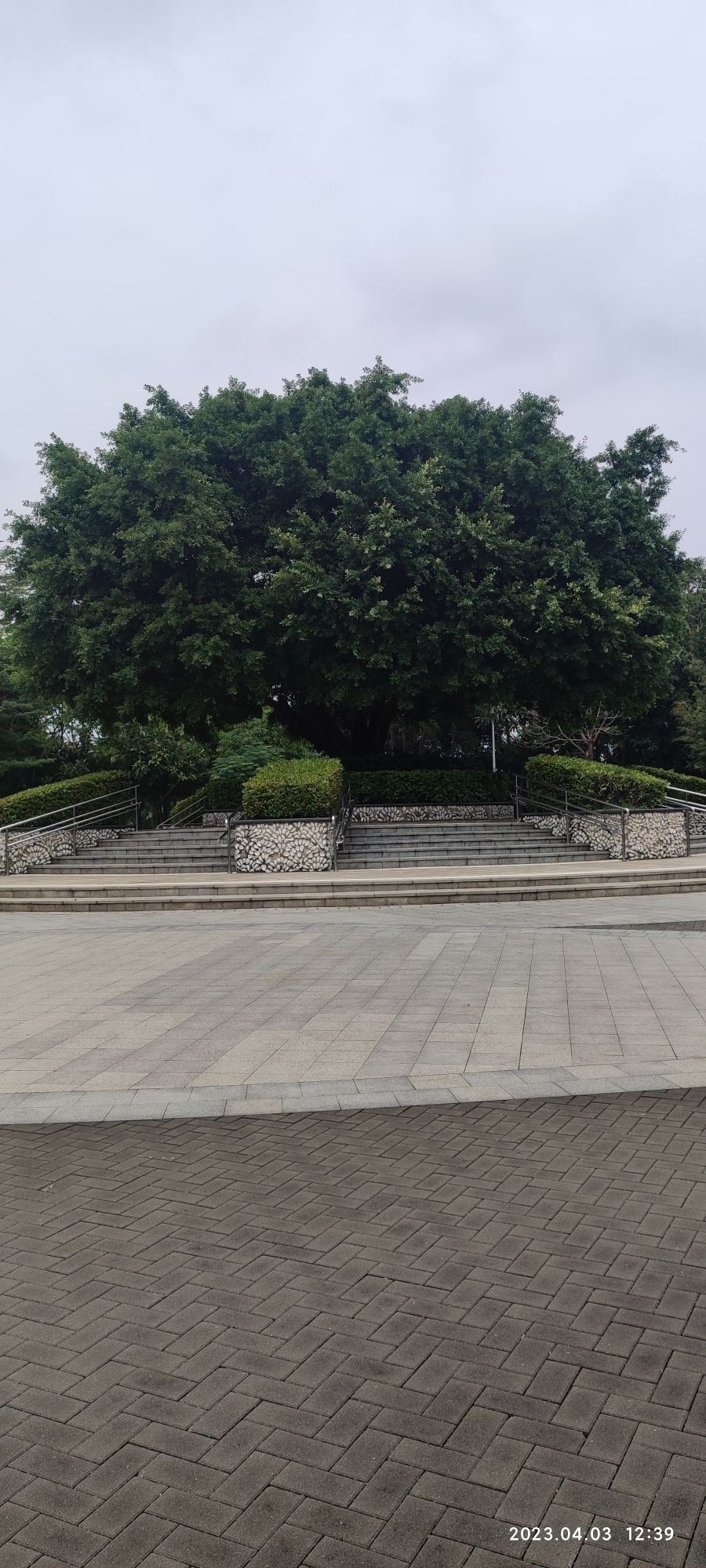 深圳沙井公园旅行图片