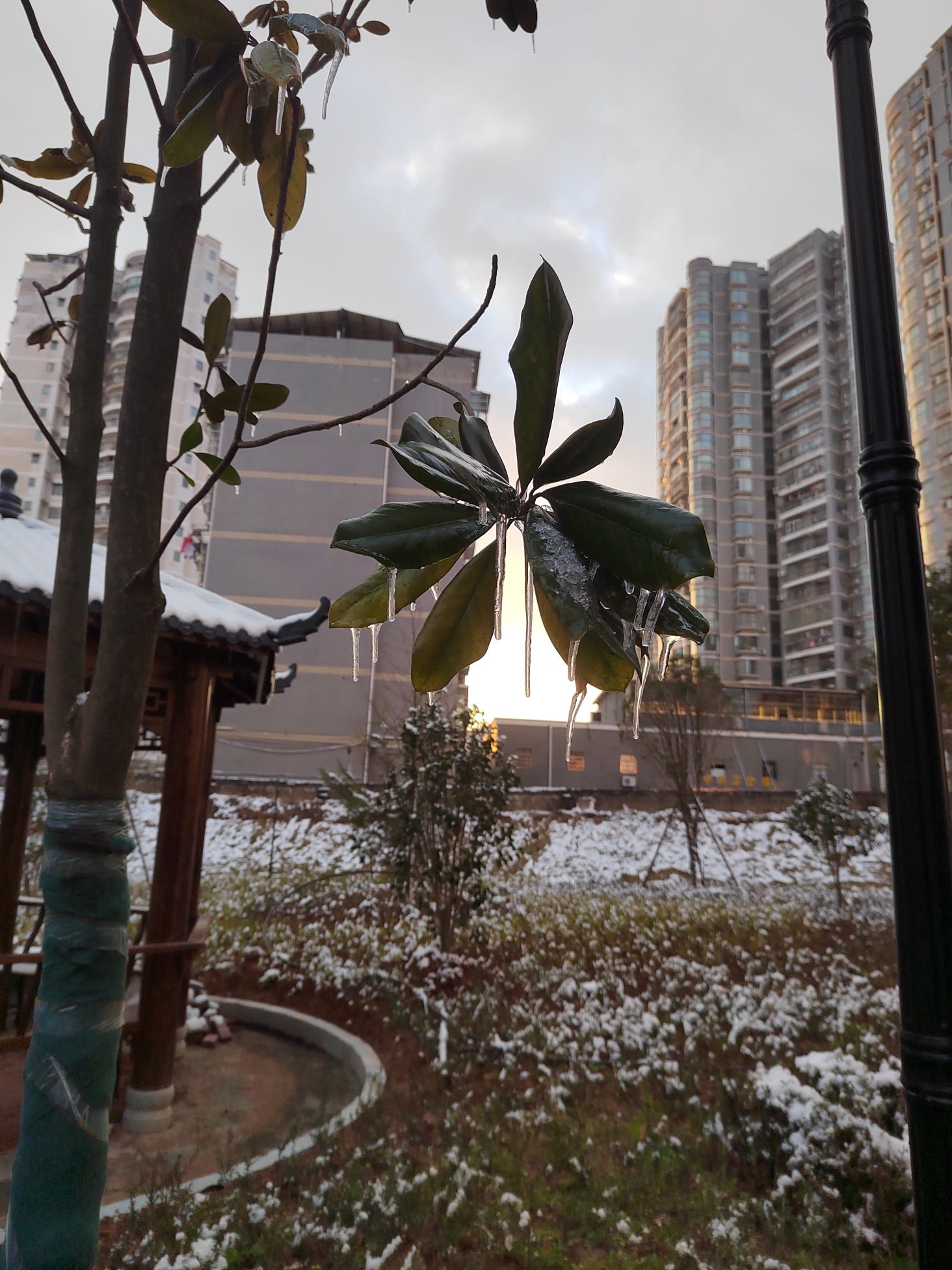 中兴广场旅行图片