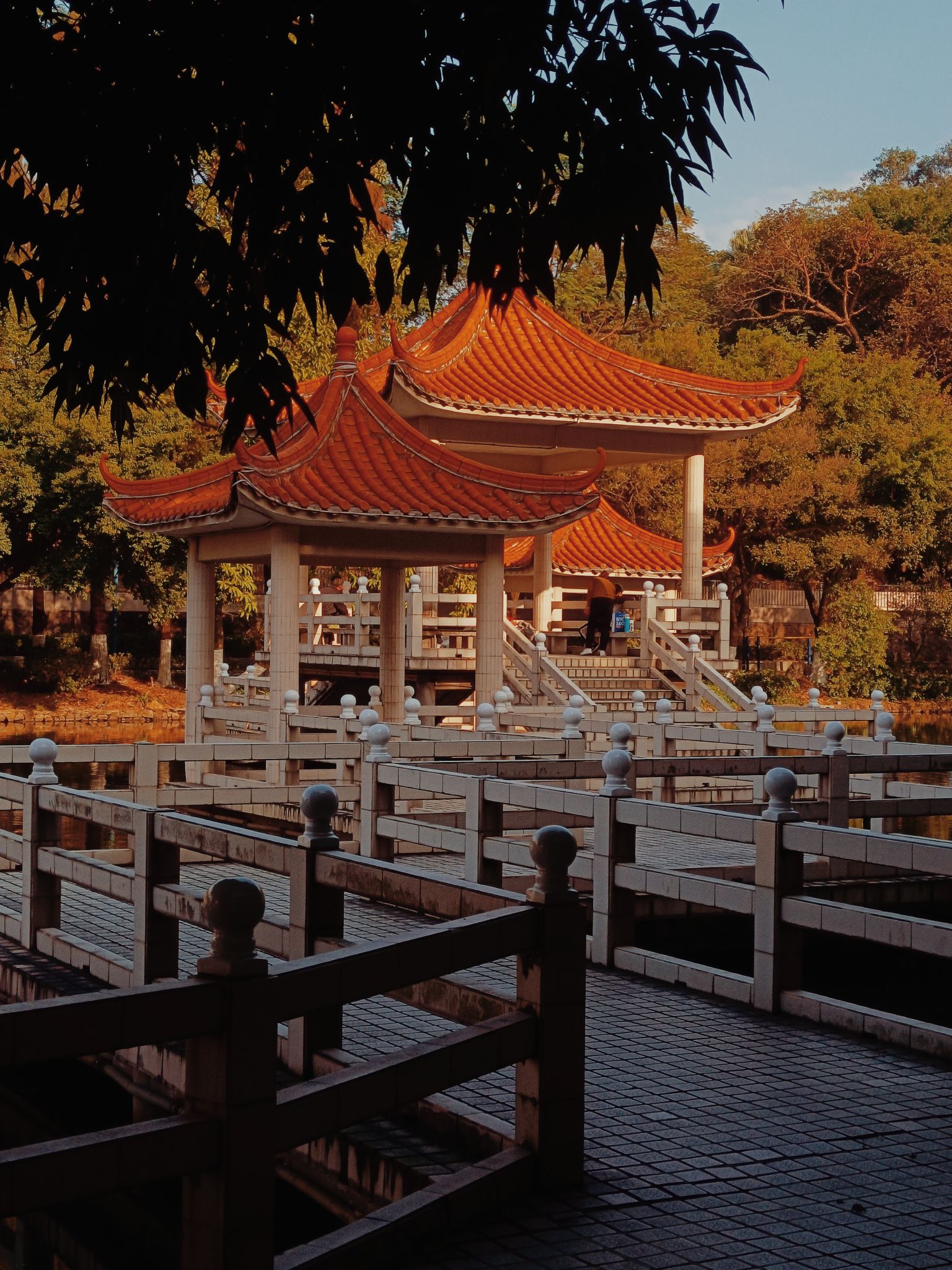 翠湖公园旅行图片