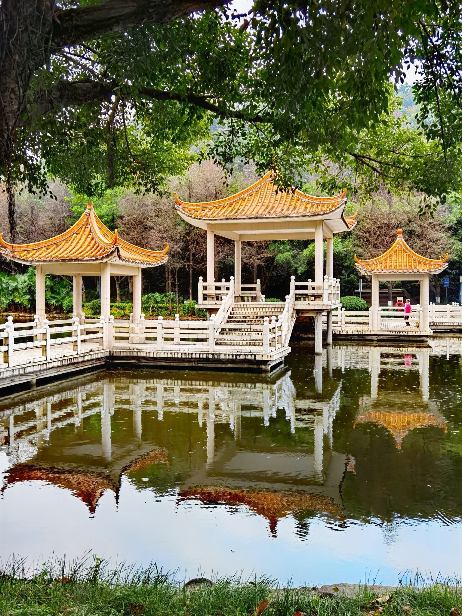 翠湖公园旅行图片