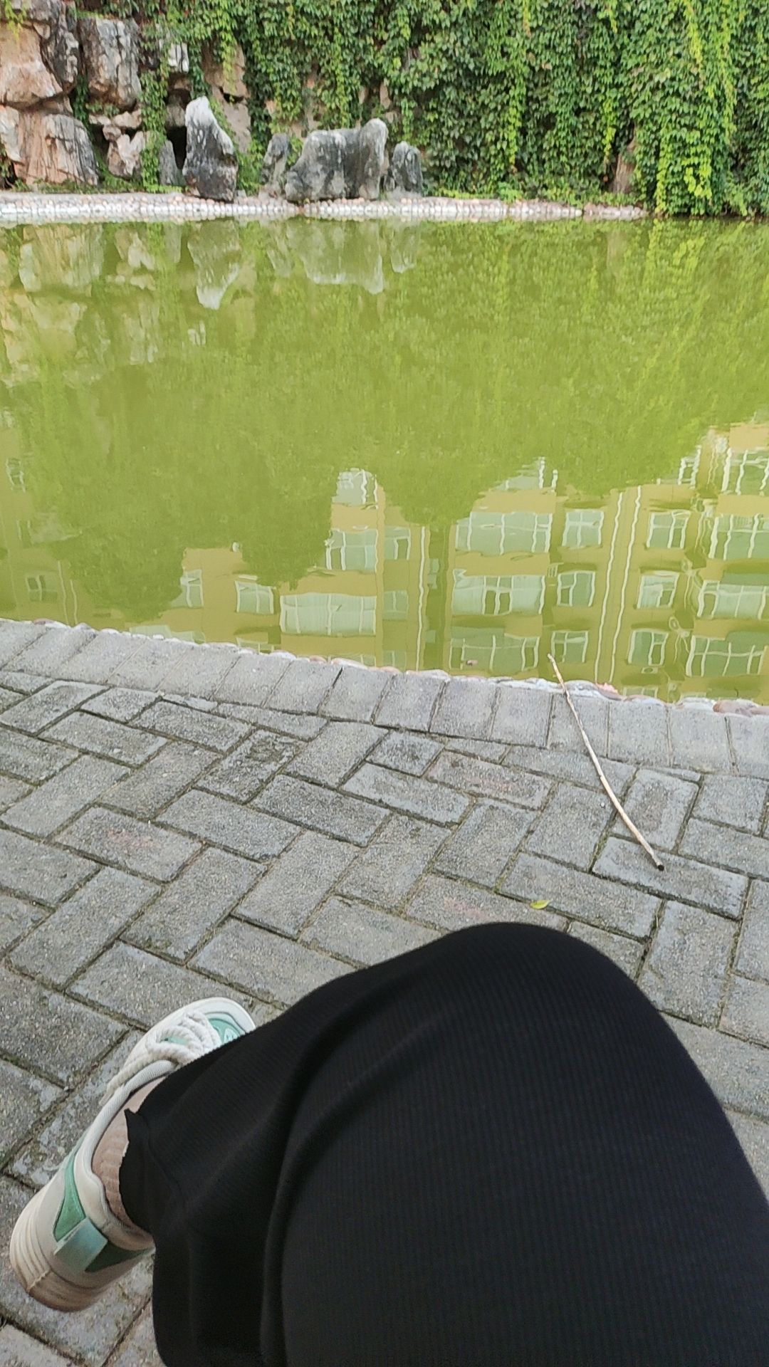 安国市药用植物公园