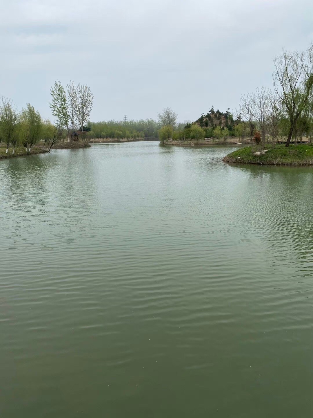 江苏睢宁白塘河湿地公园