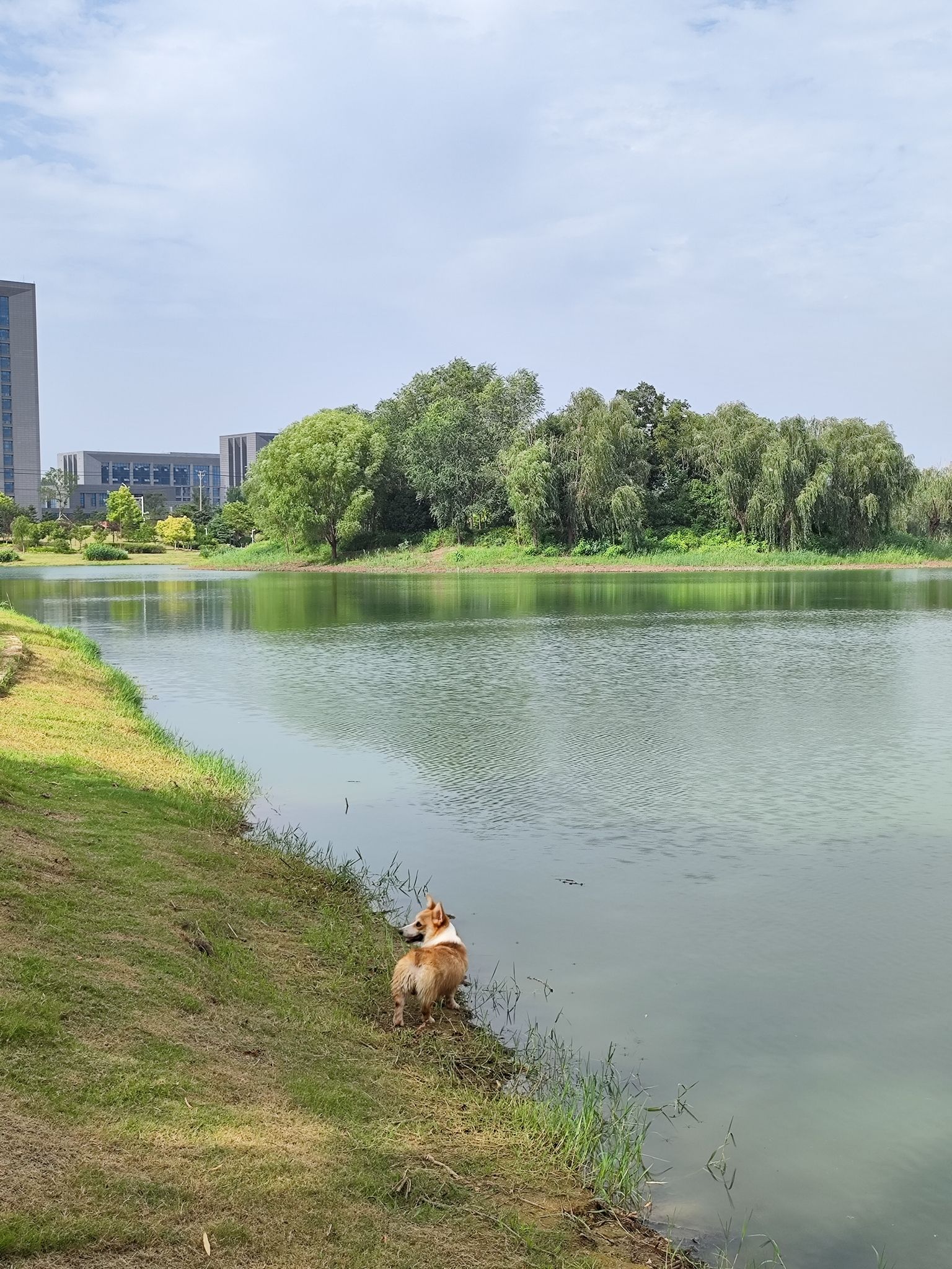 飞龙湖