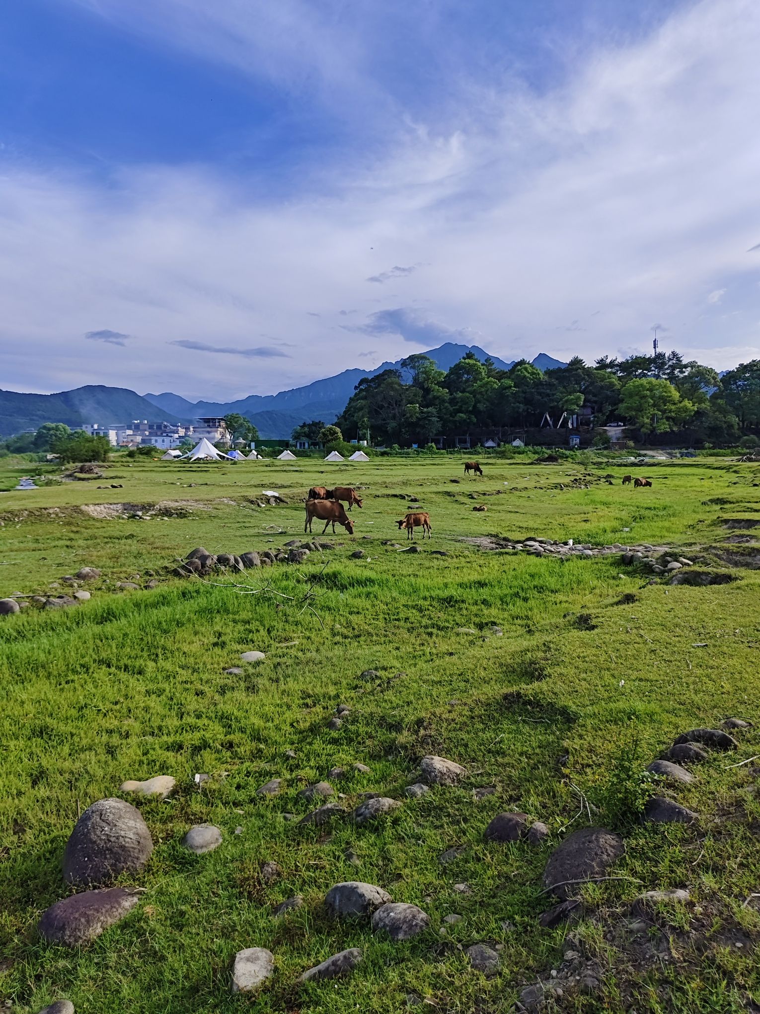罗坑大草原旅行图片