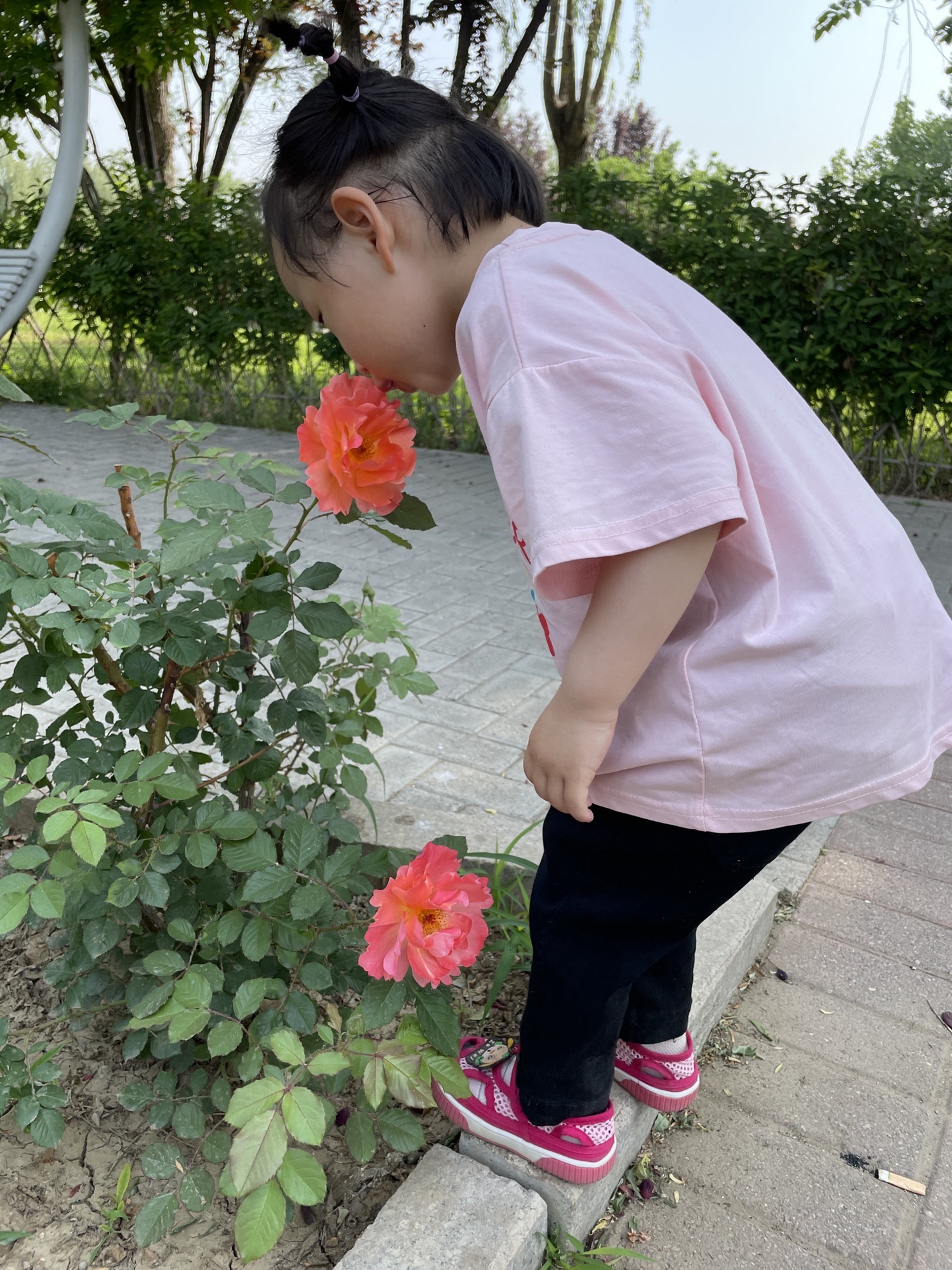 旭升公园
