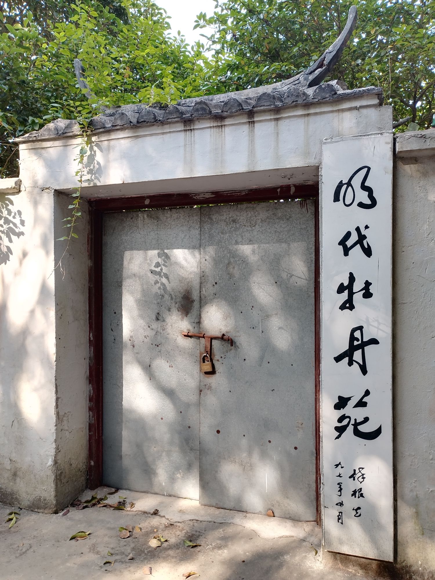 明代牡丹苑旅行图片