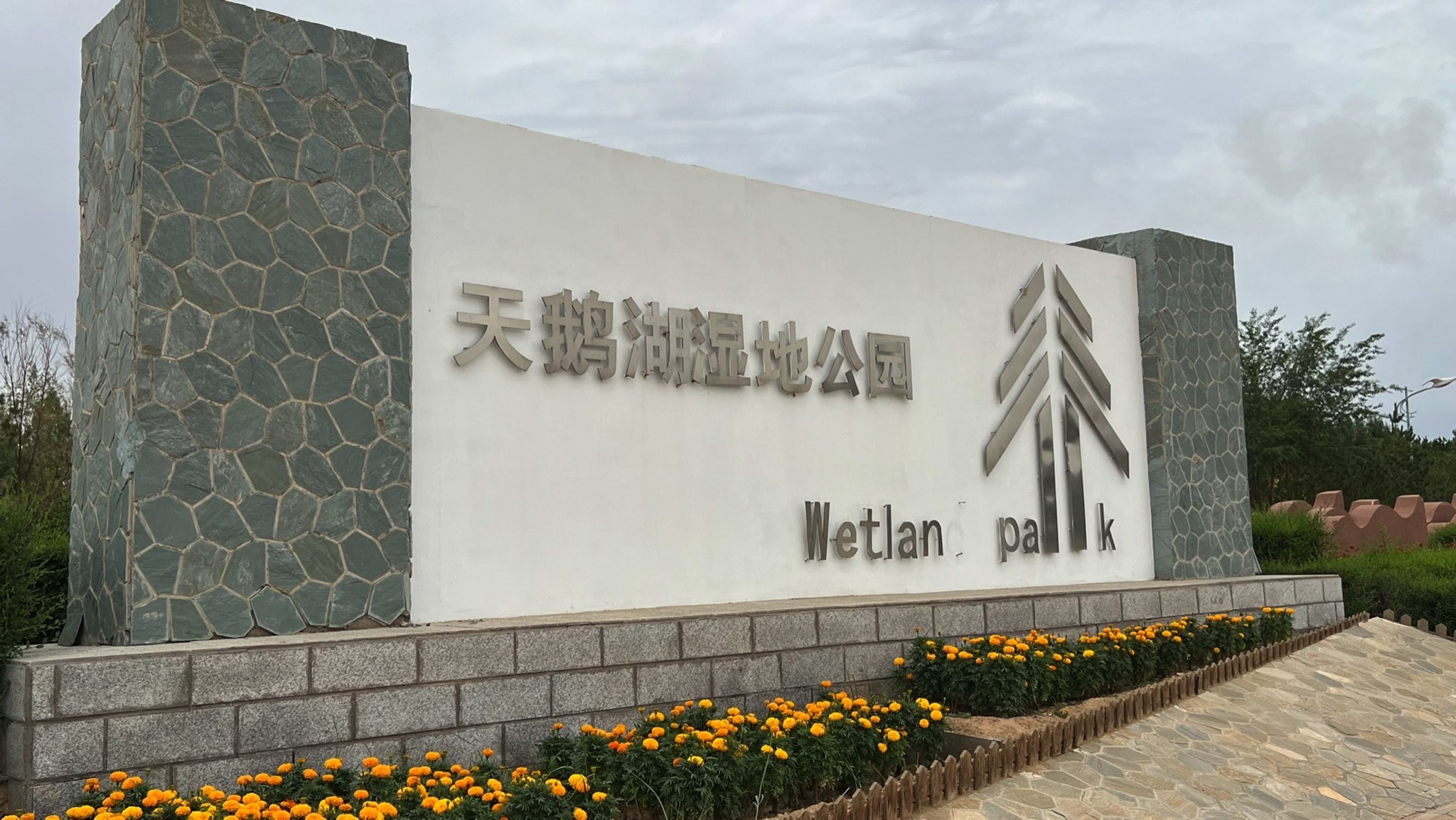 天鹅湖湿地公园旅行图片