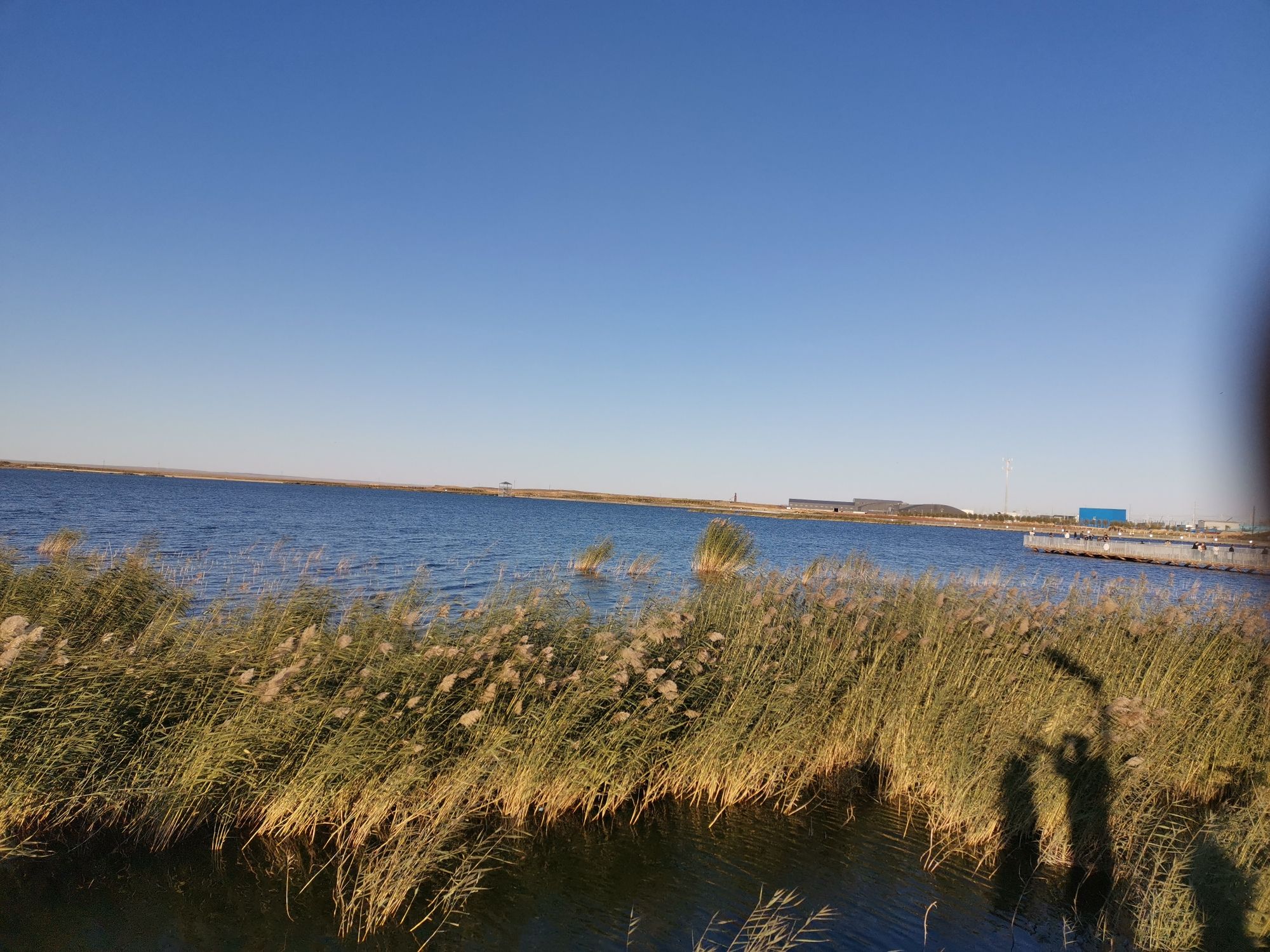 天鹅湖湿地公园旅行图片