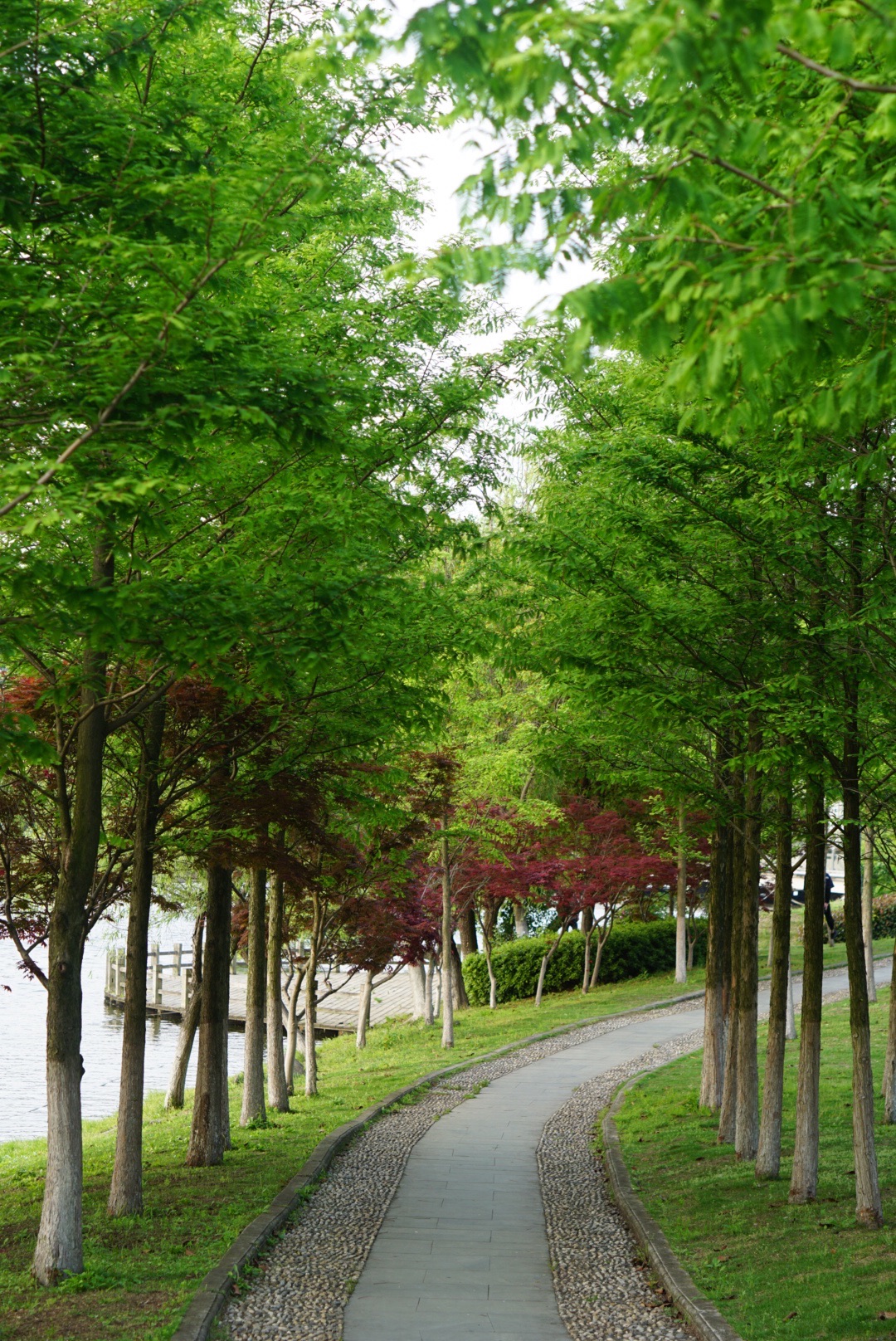 庆澜公园旅行图片