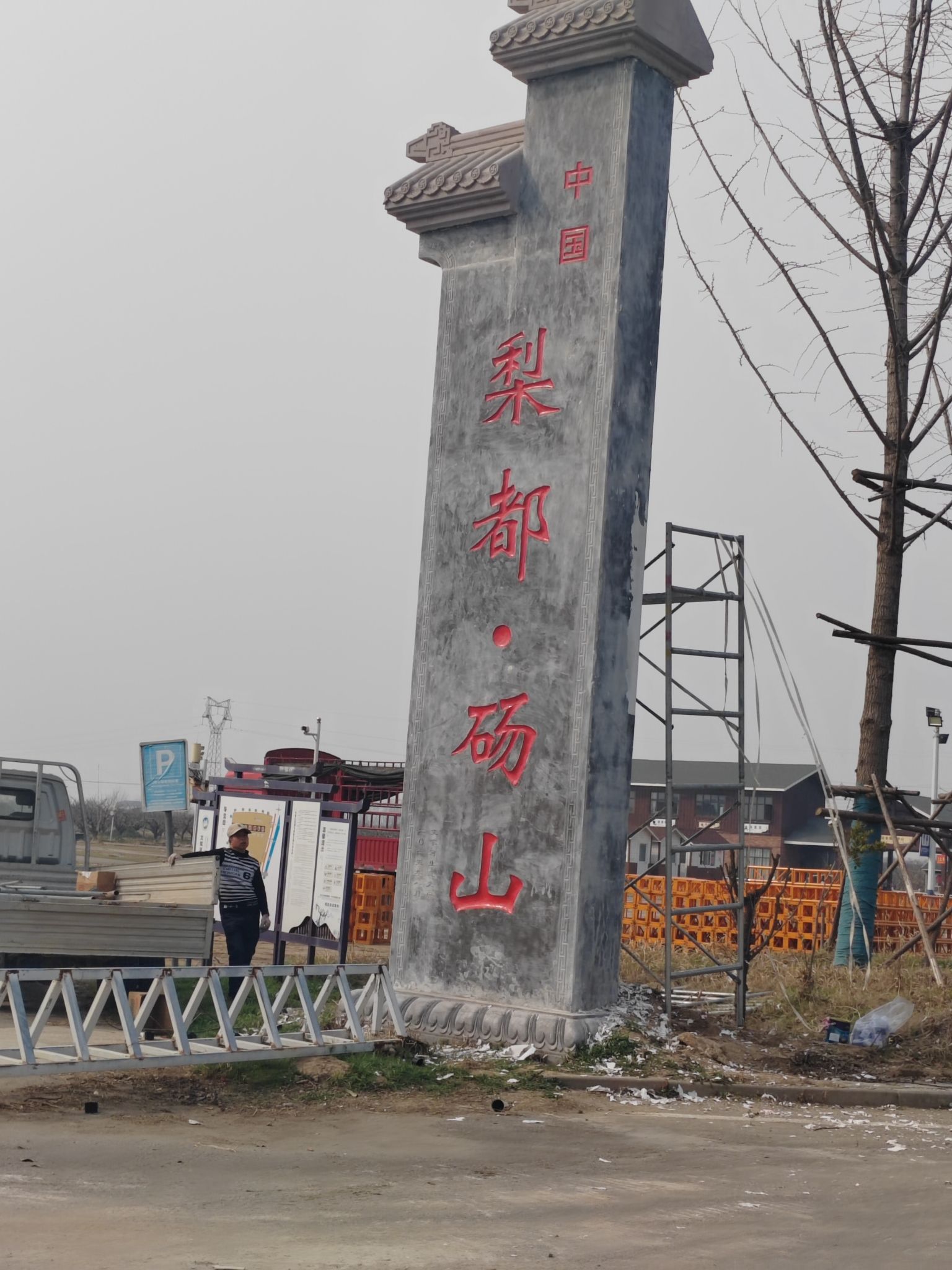 砀山梨树王景区旅行图片